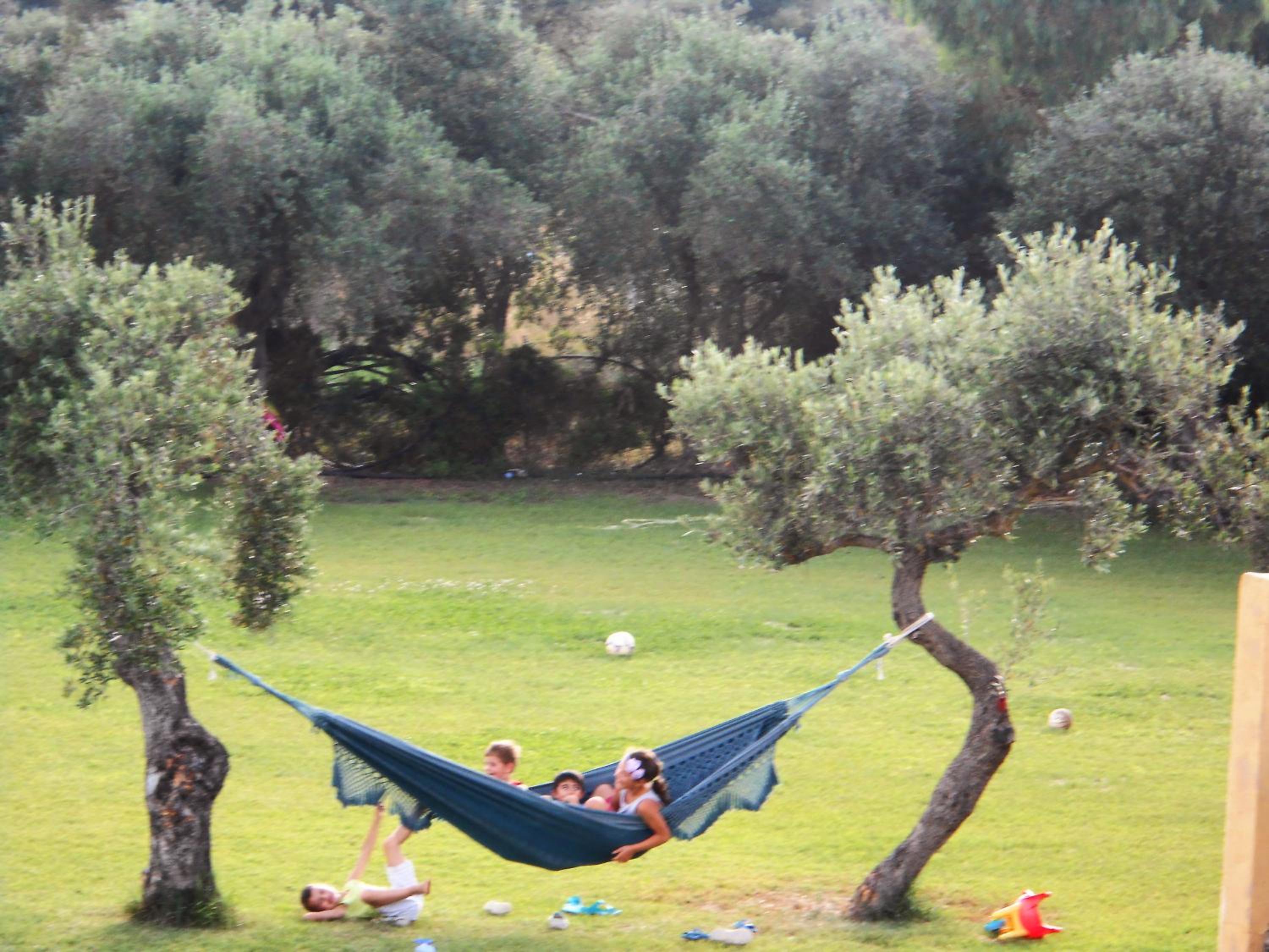 Photo 40