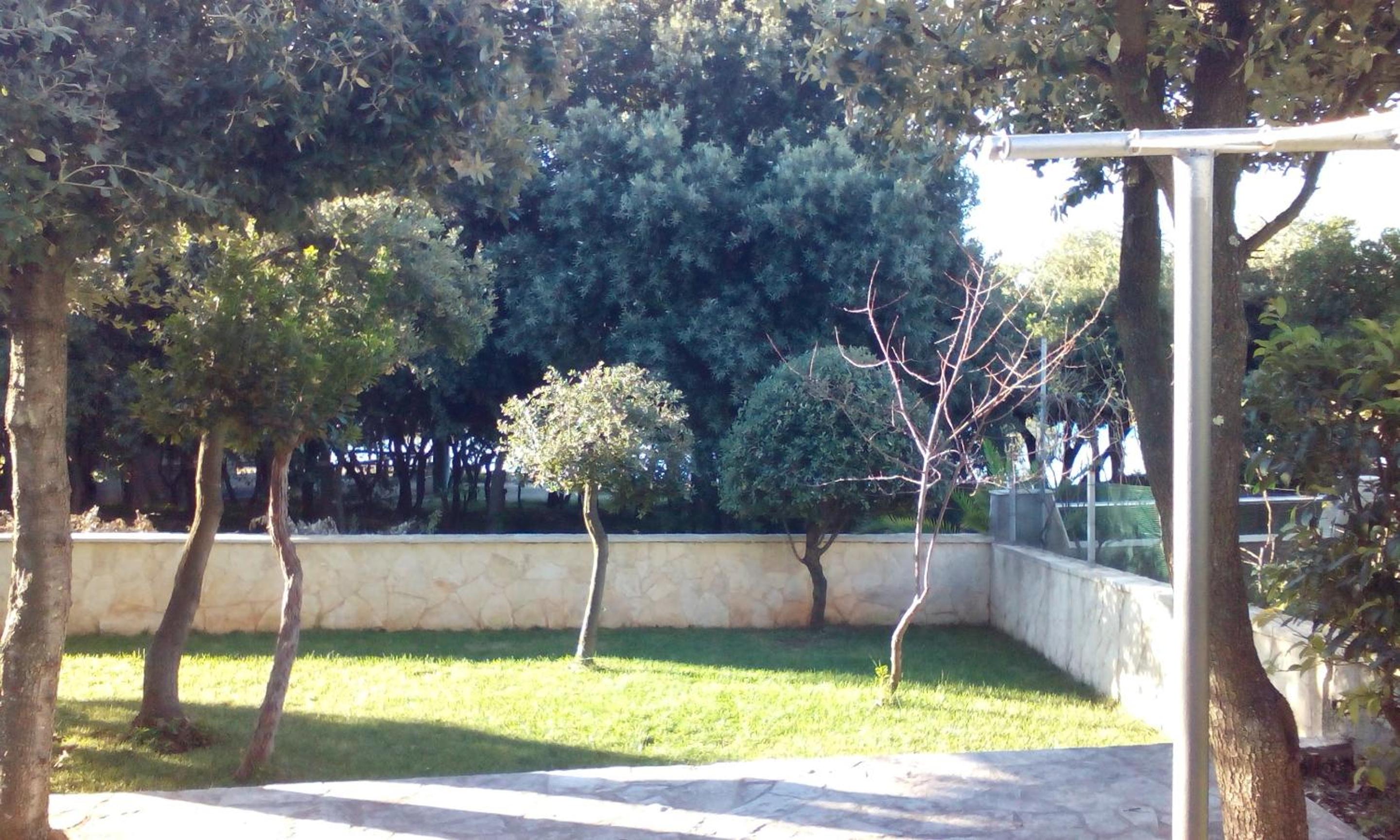 Photo 38