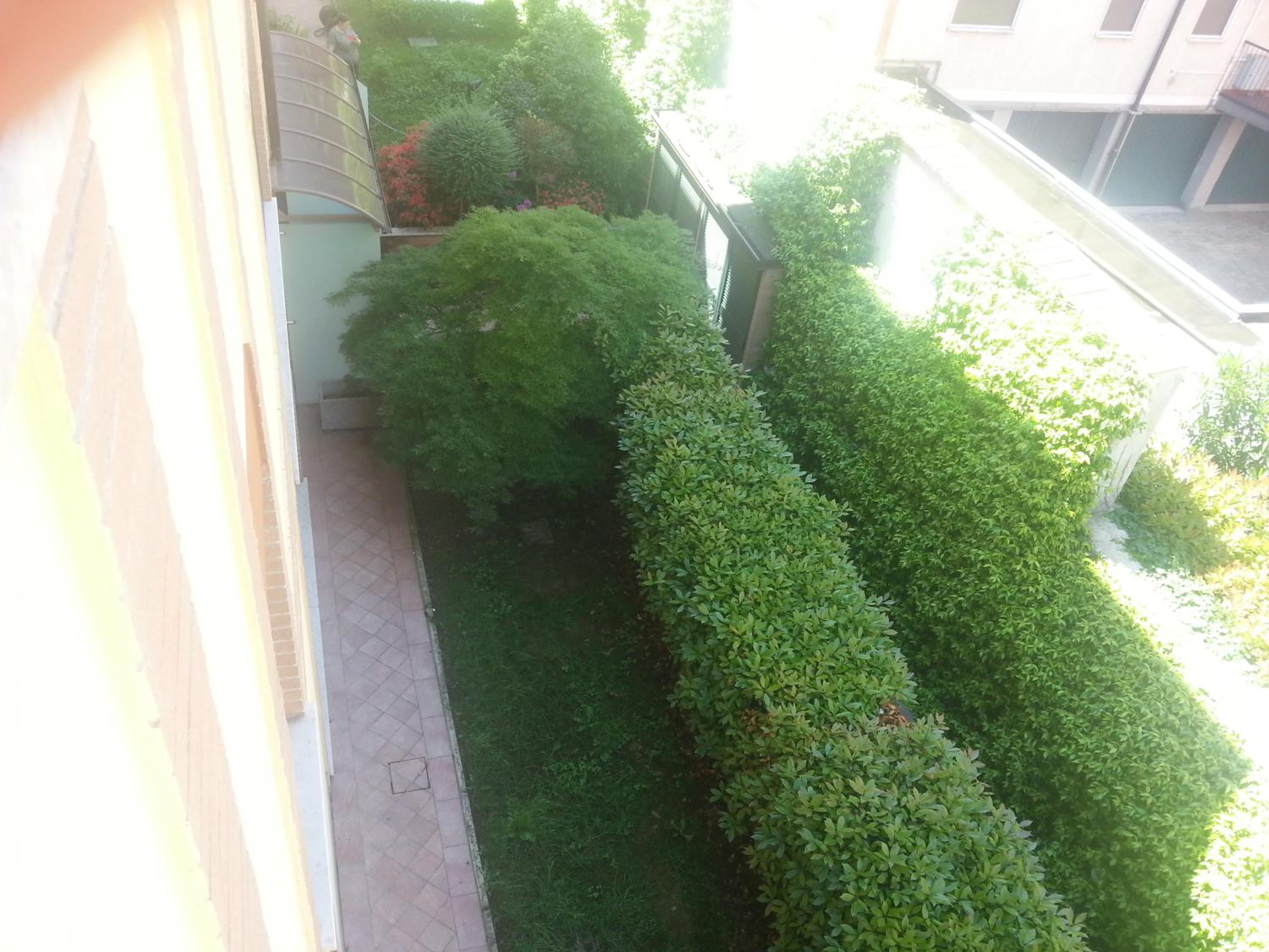 Photo 44
