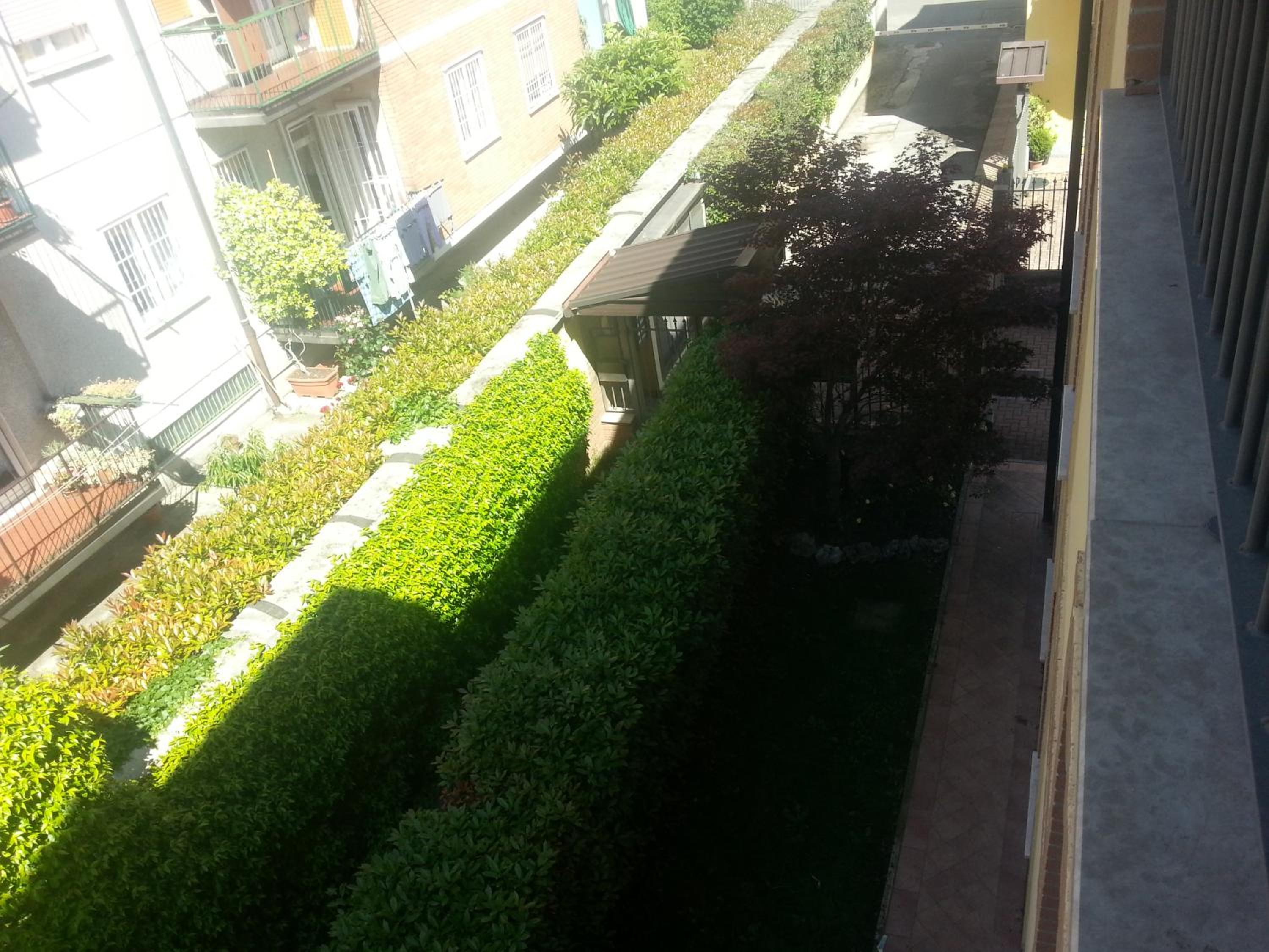 Photo 46