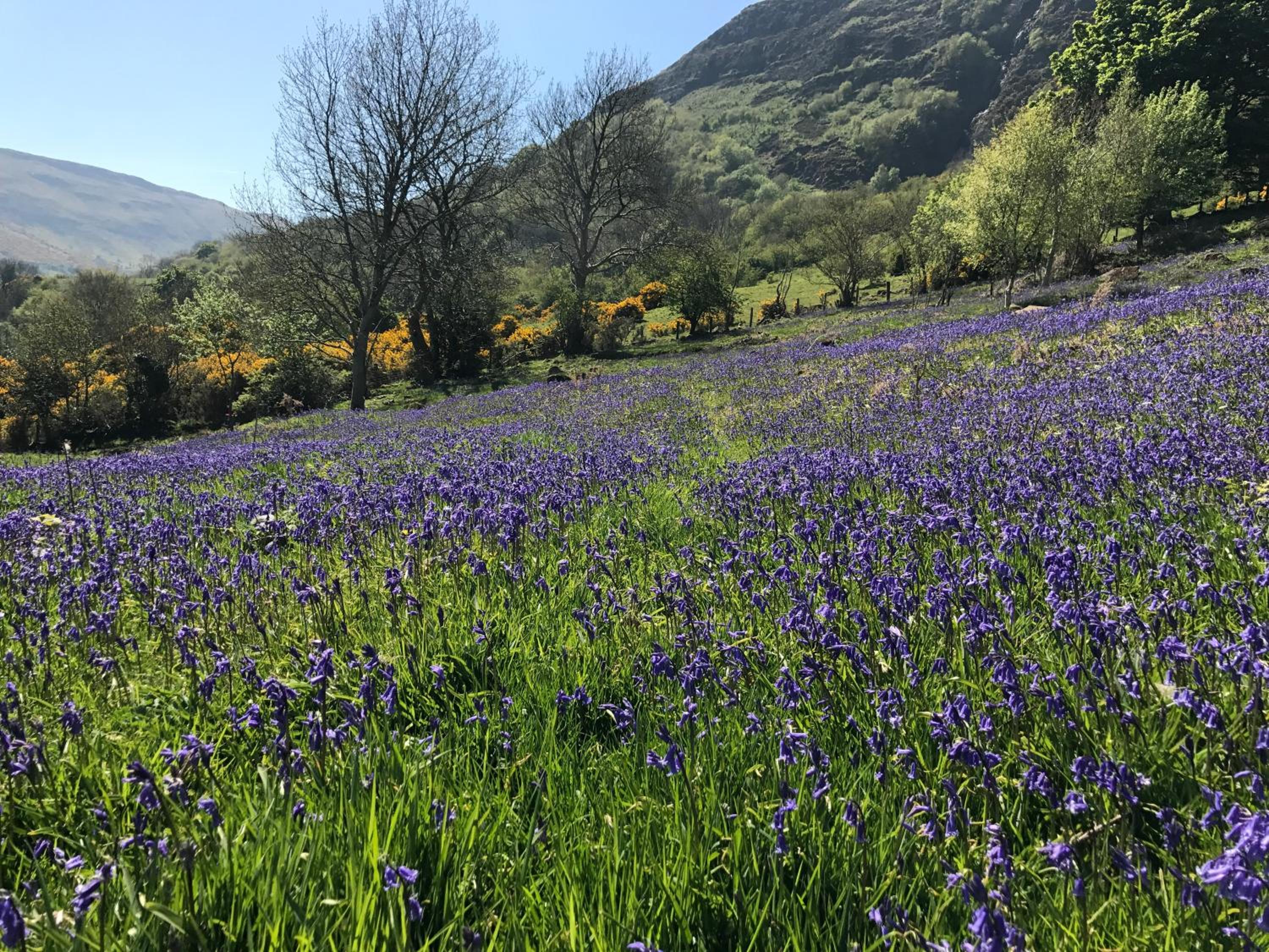Photo 56