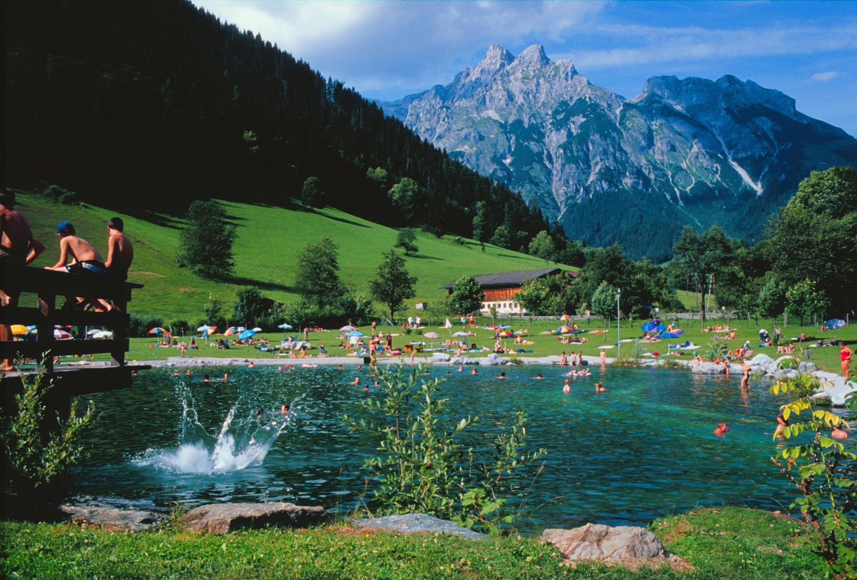 Photo 12