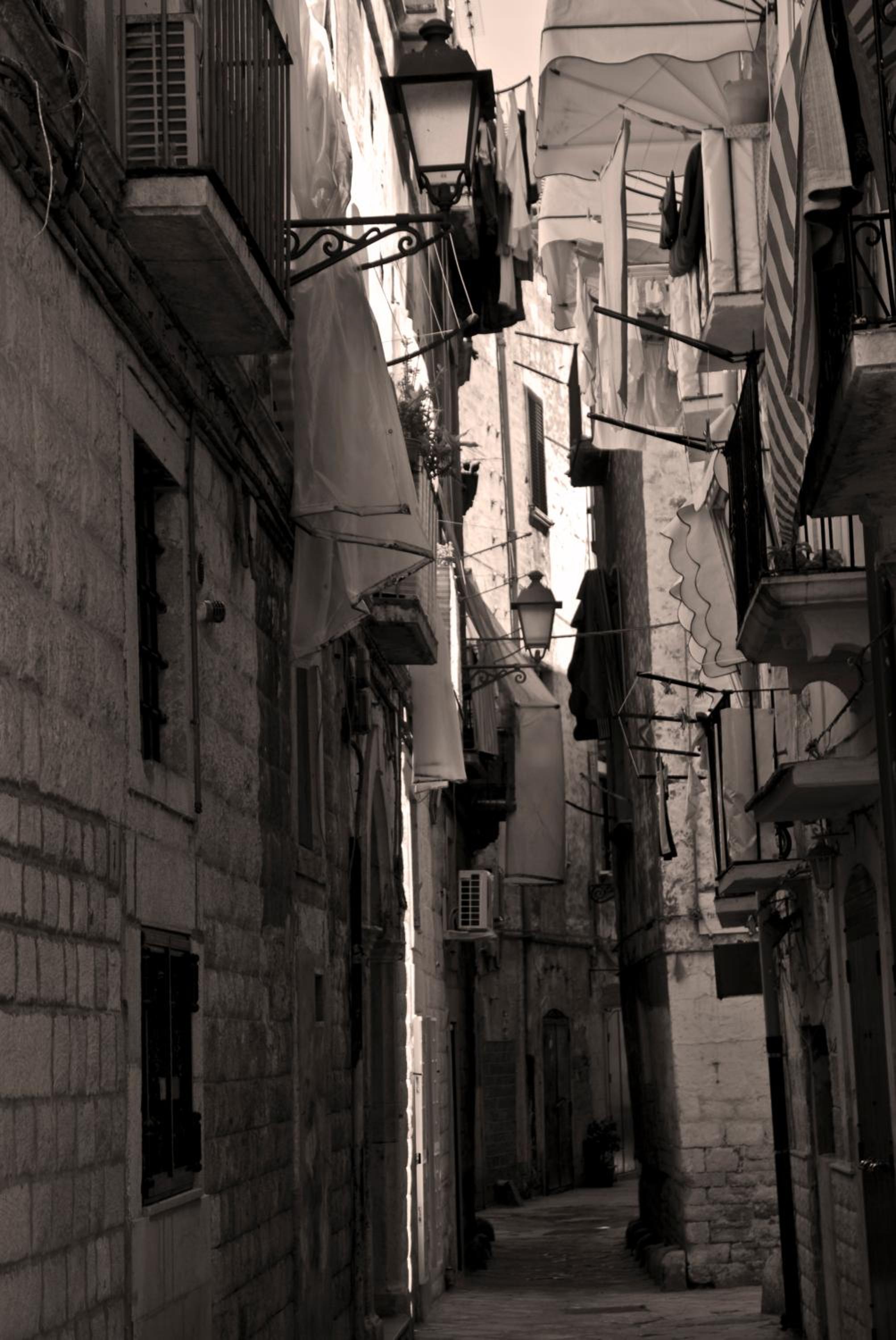 Photo 45