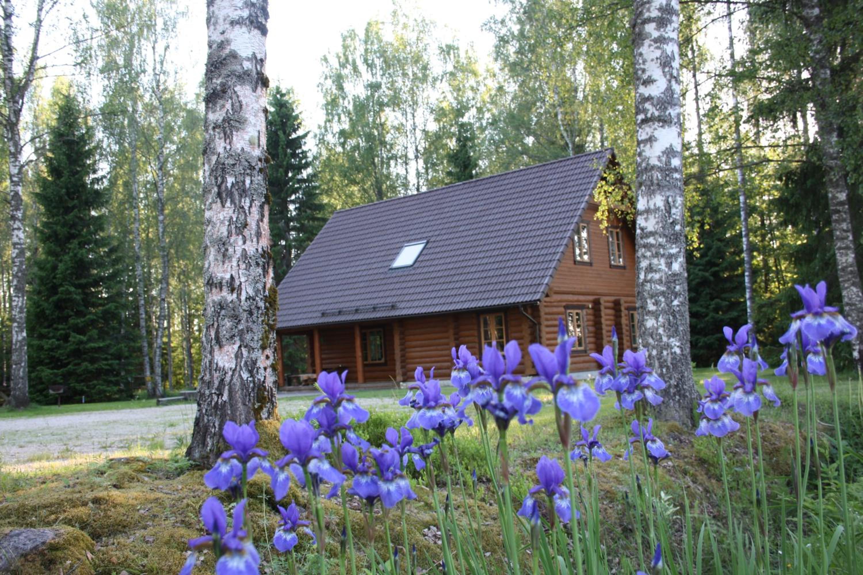 Photo 14