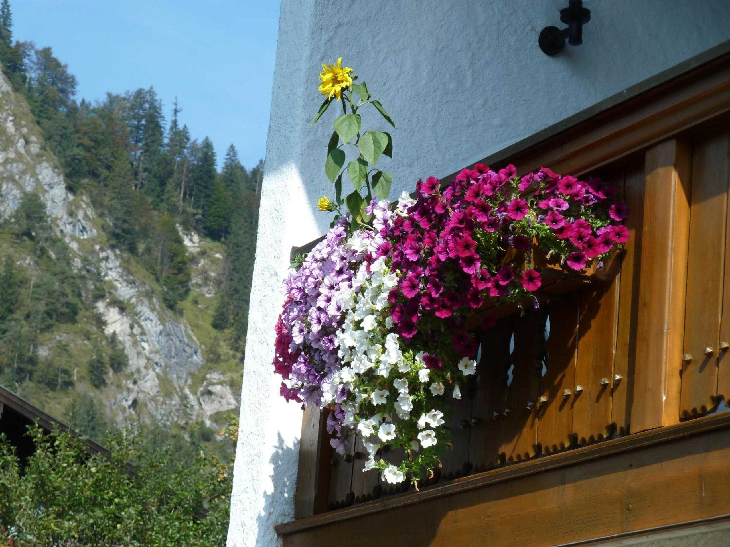 Haus im Kurpark view 3