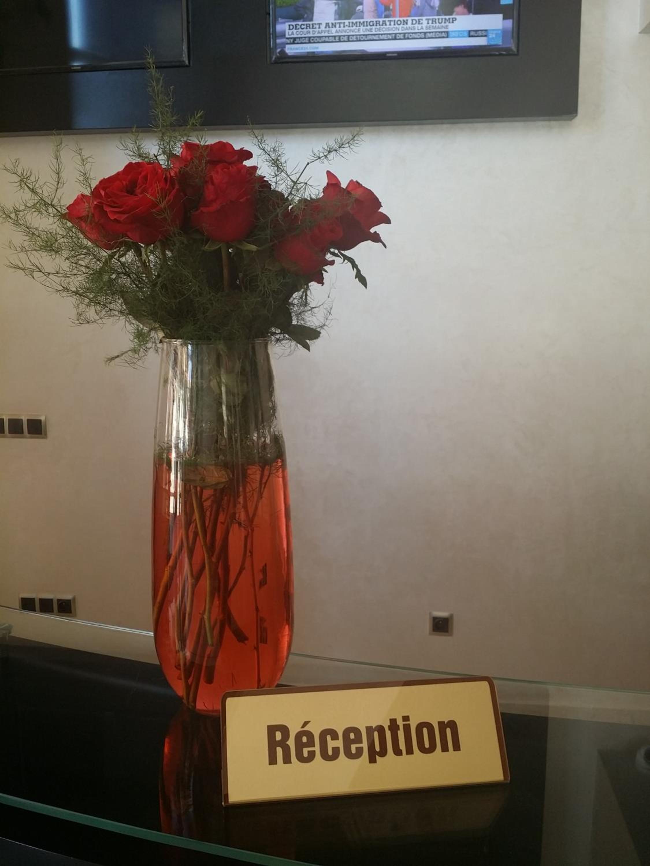 recepcion & lobby