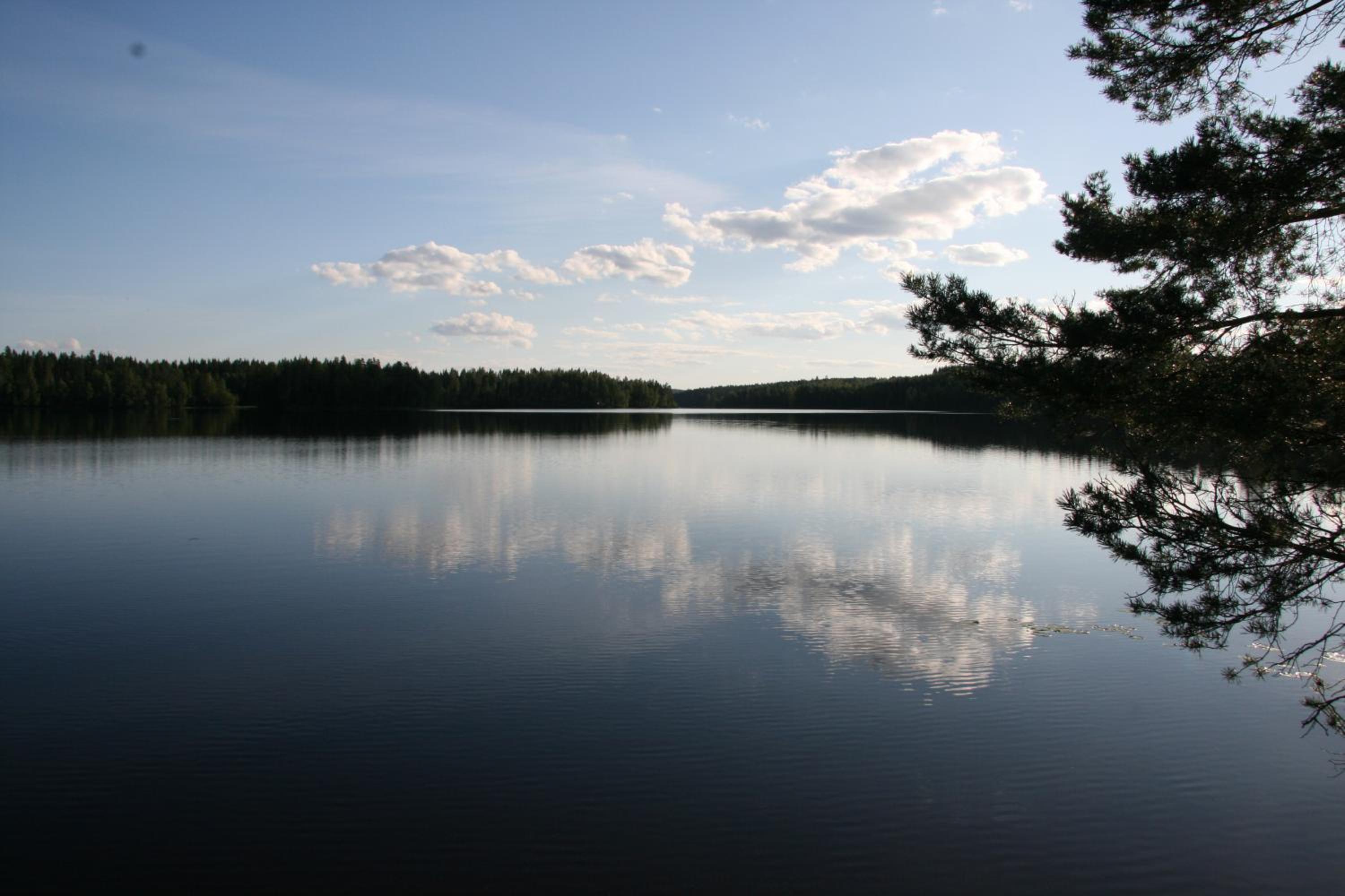 Photo 33