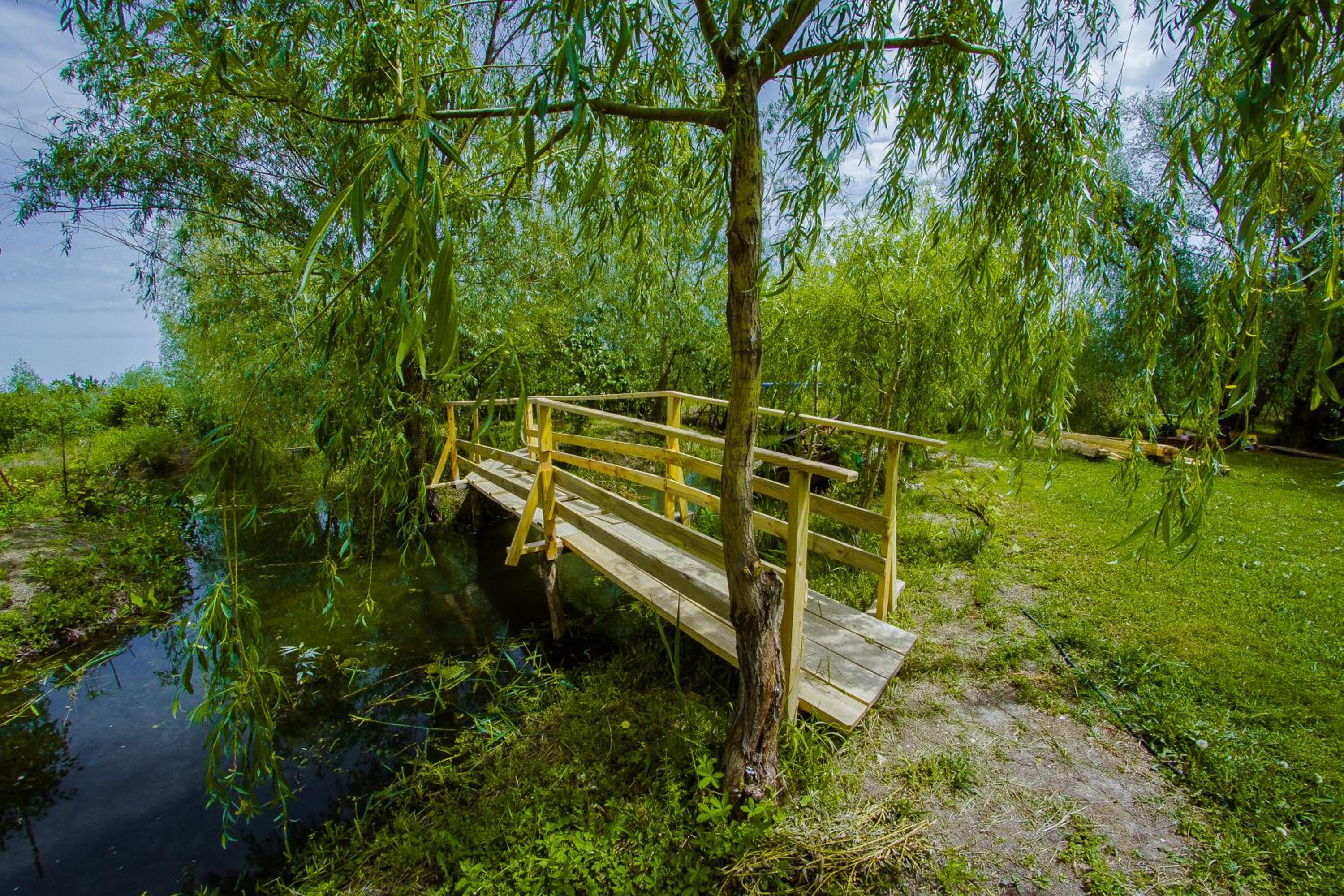 Photo 8