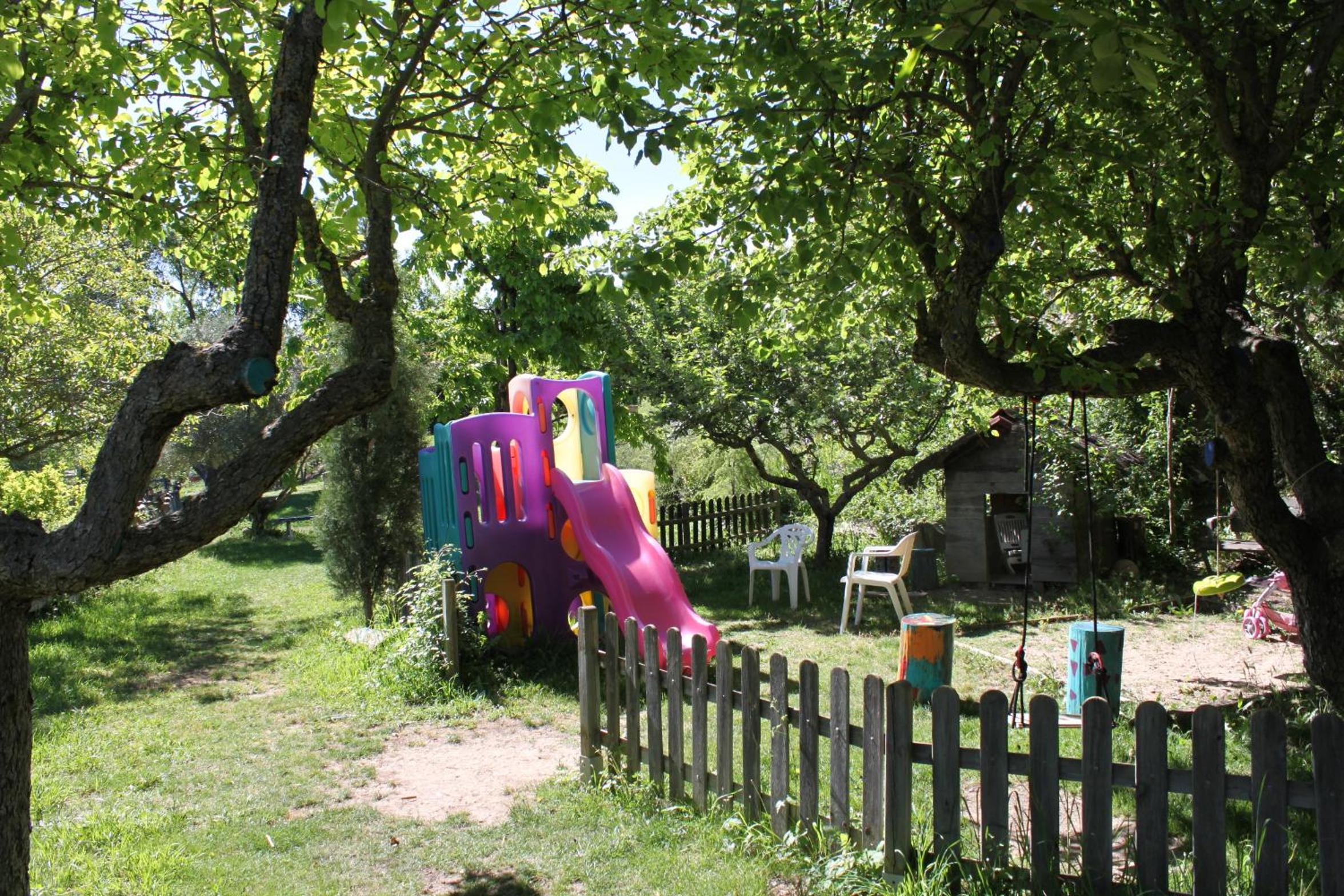 Photo 42