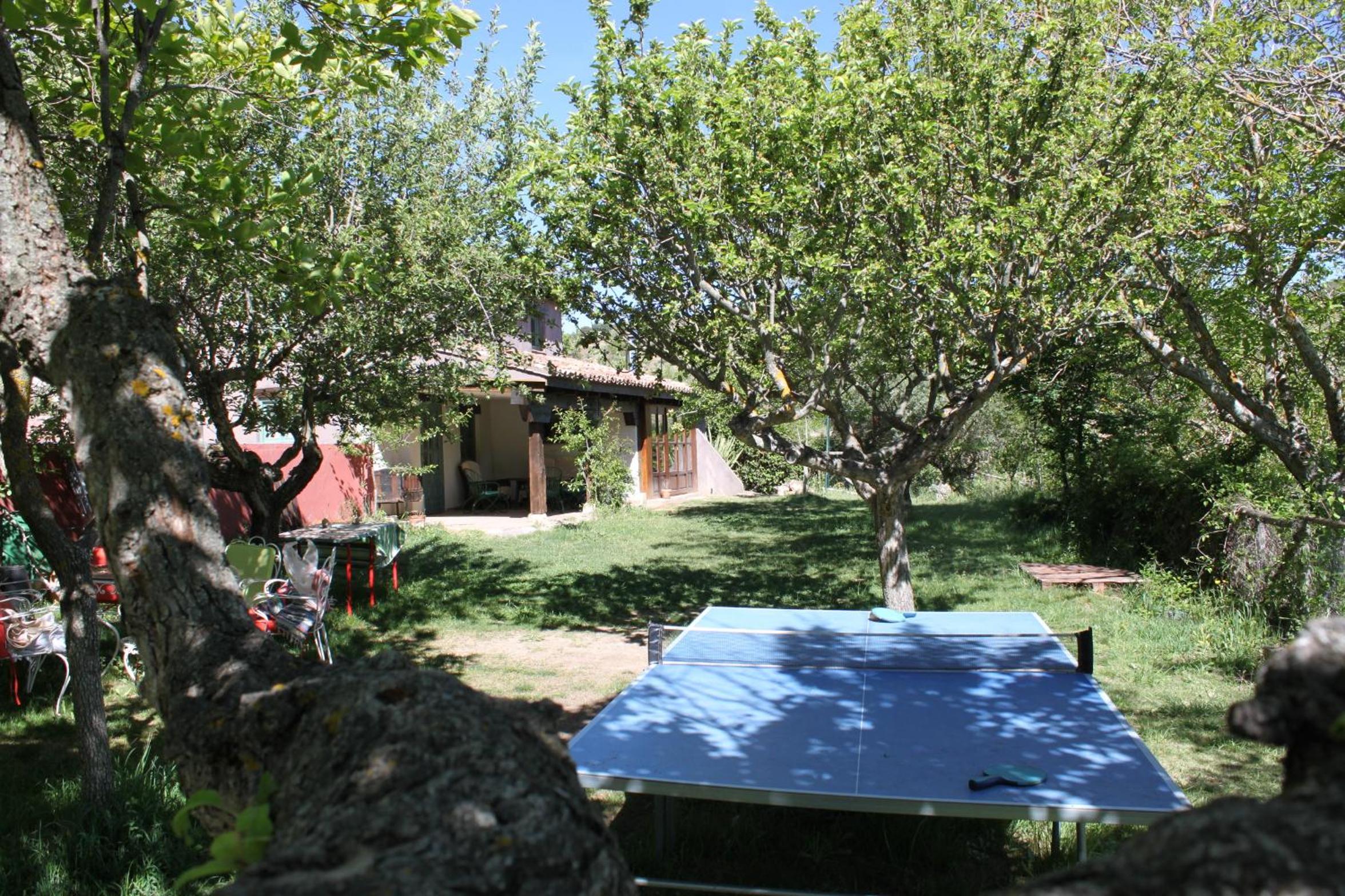 Photo 45