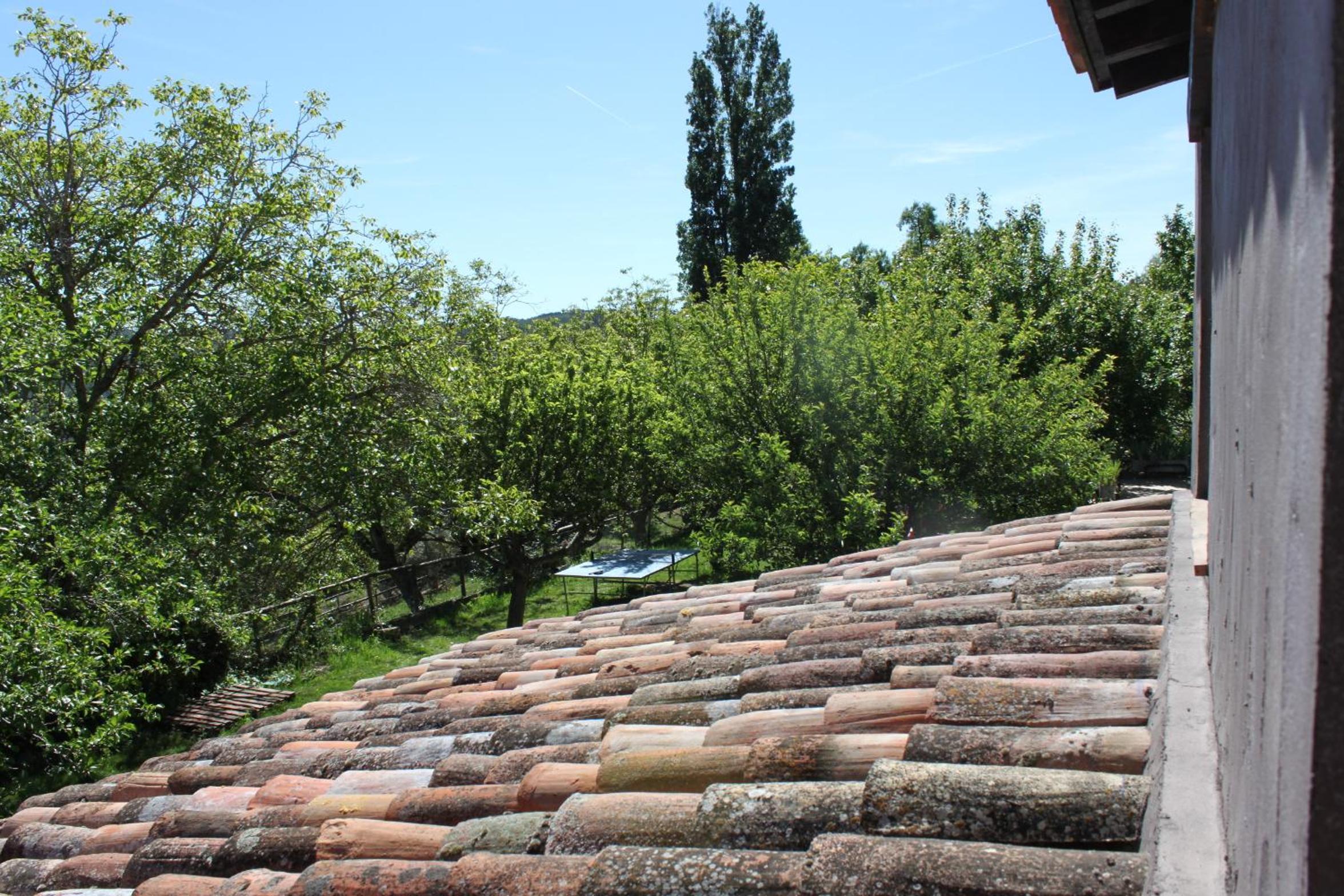 Photo 48