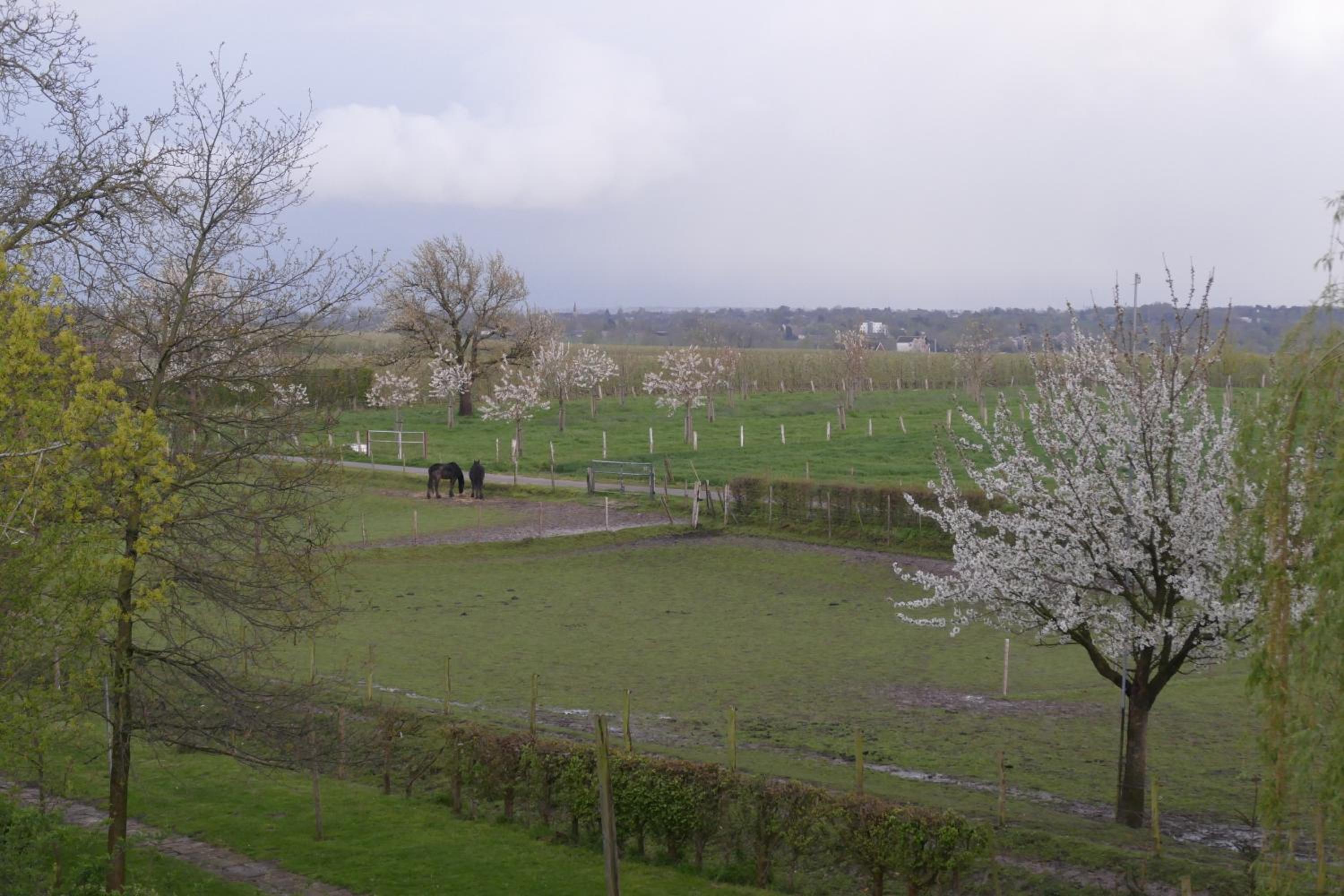 Photo 48