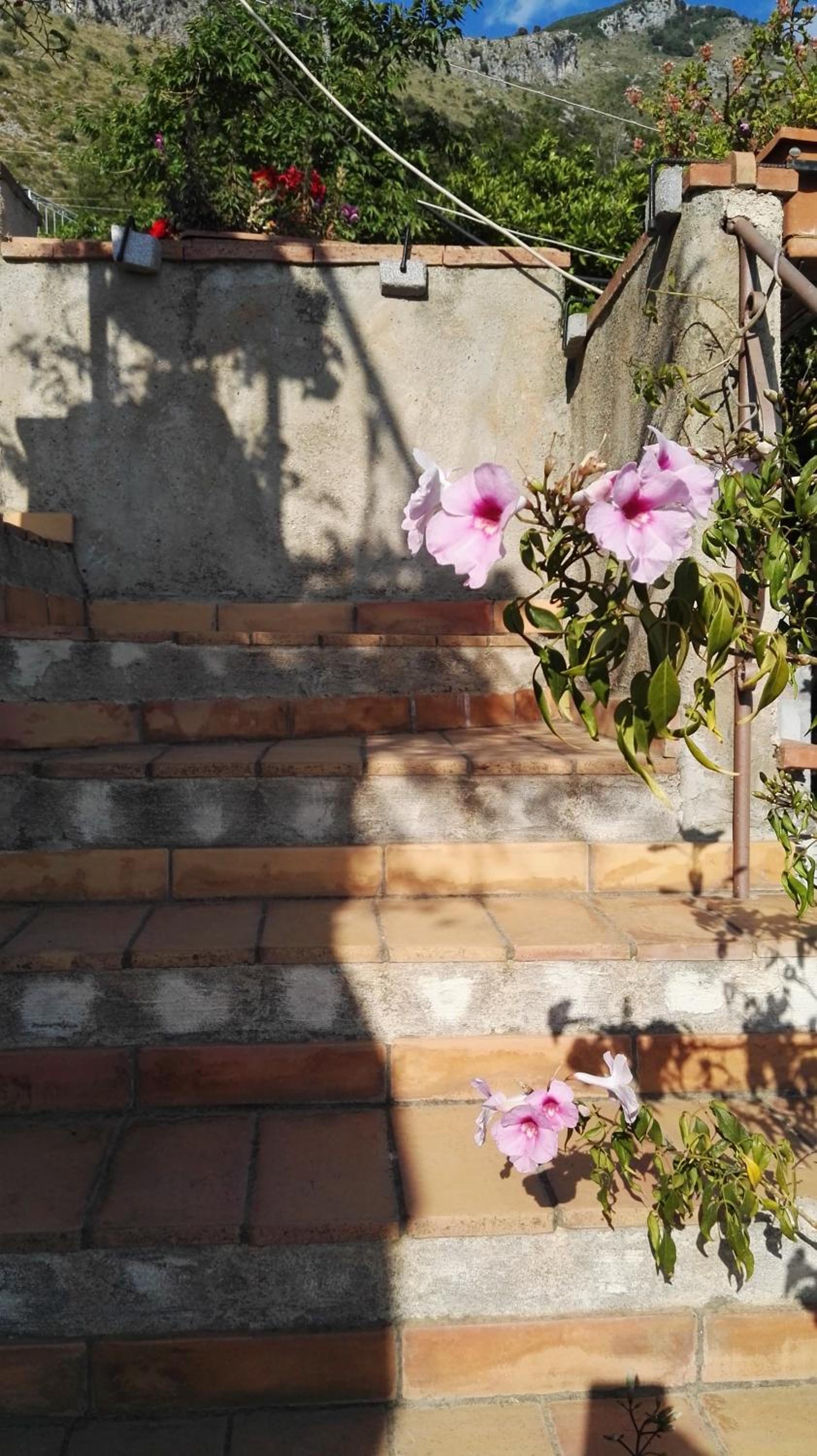 B&B La Torretta