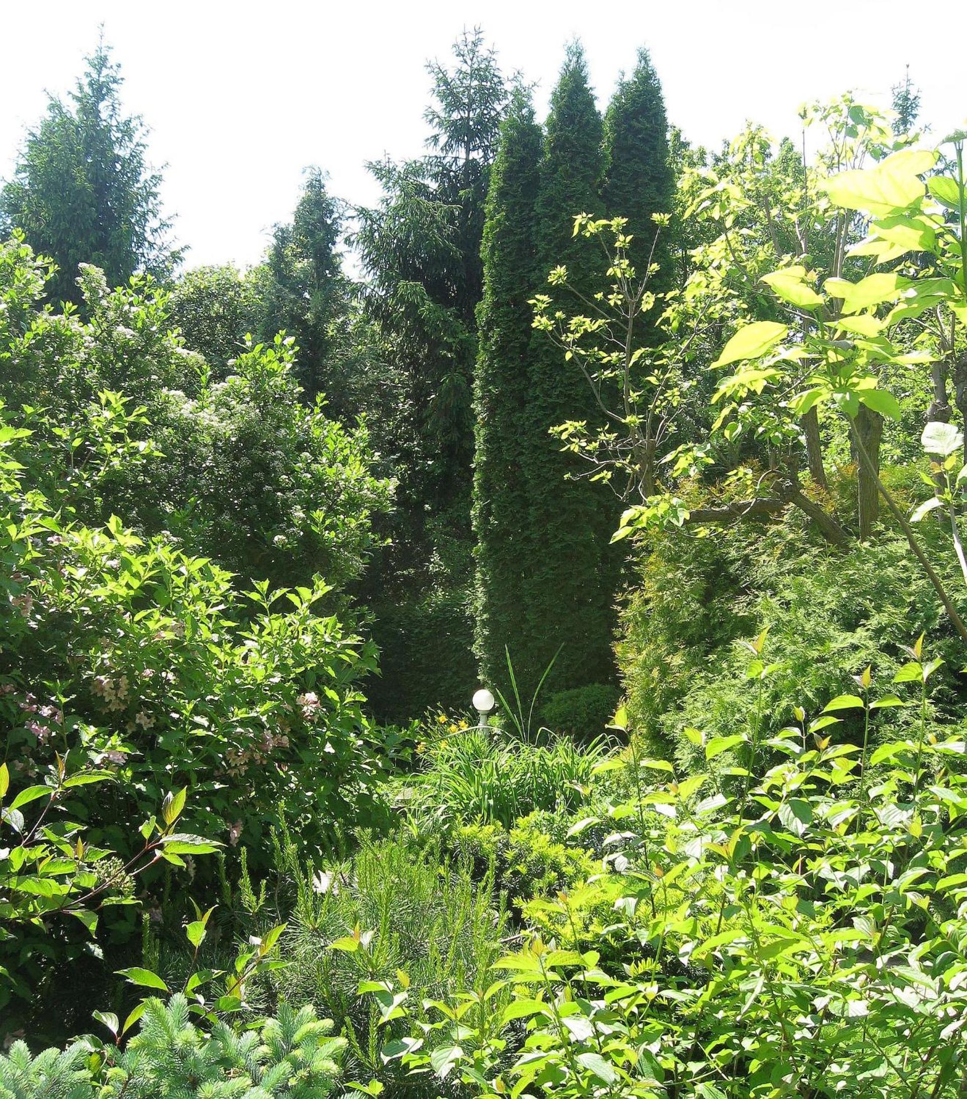 Photo 25