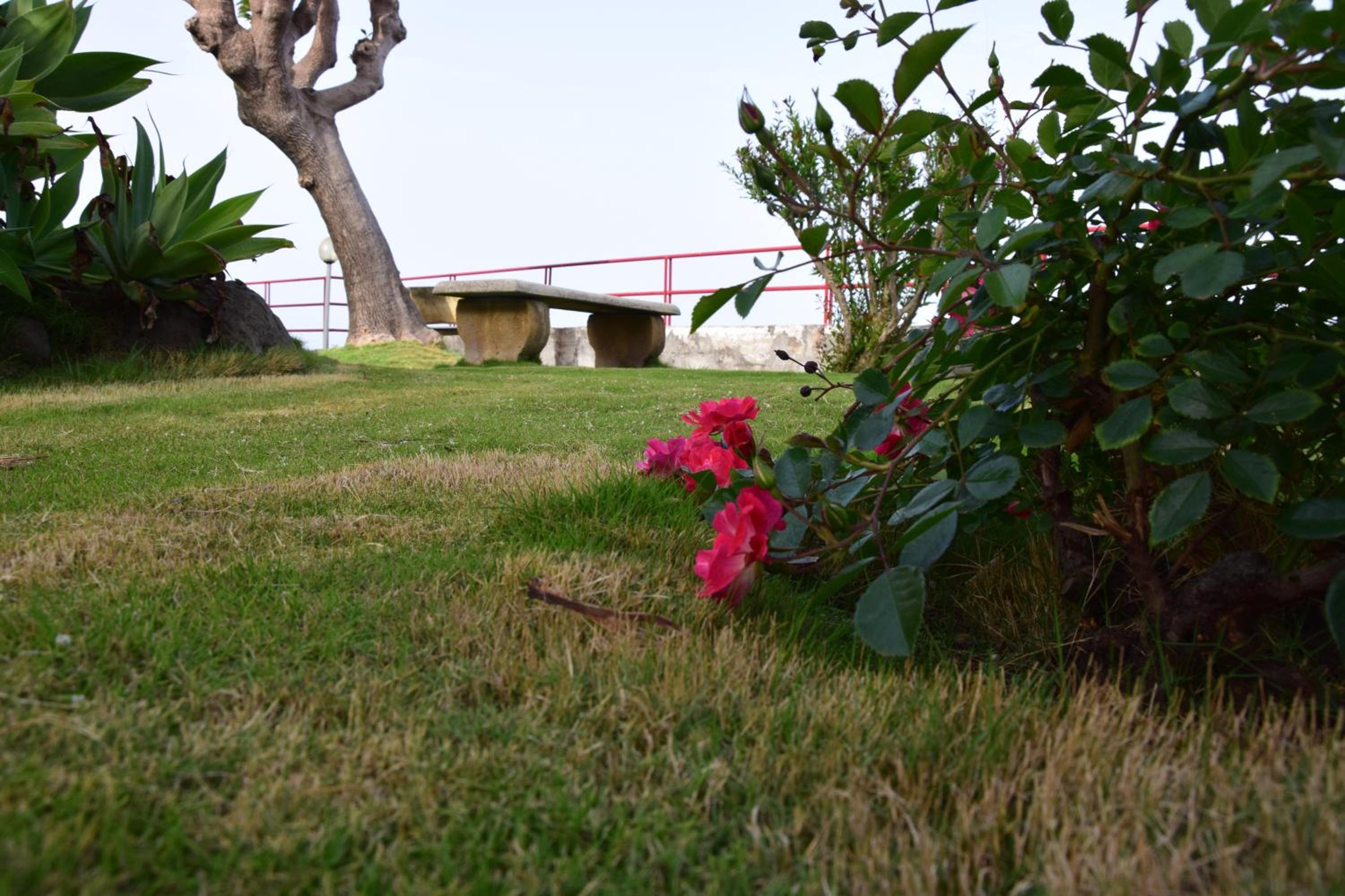 SeaHome view 4