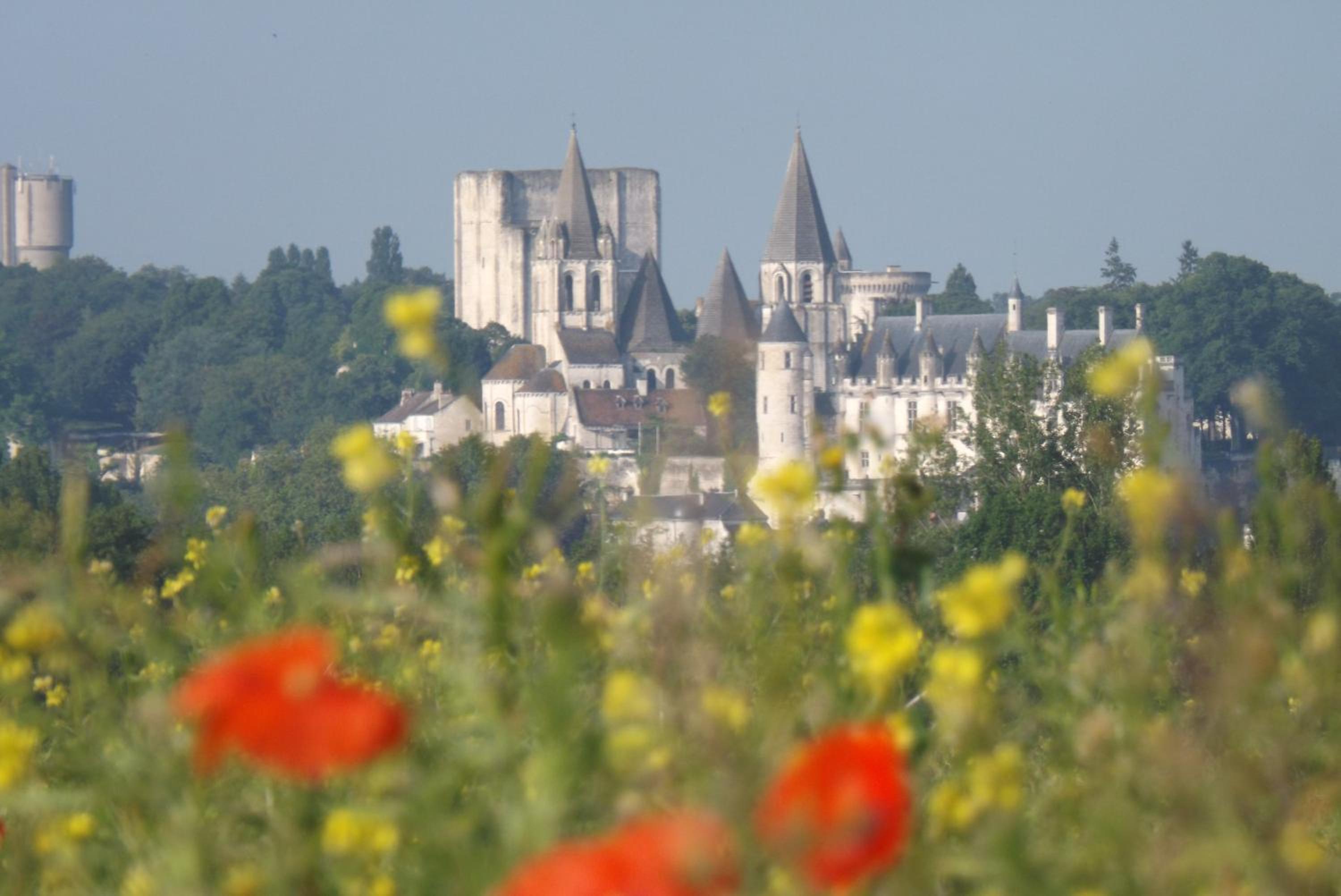 Suite Luzilloise view 2