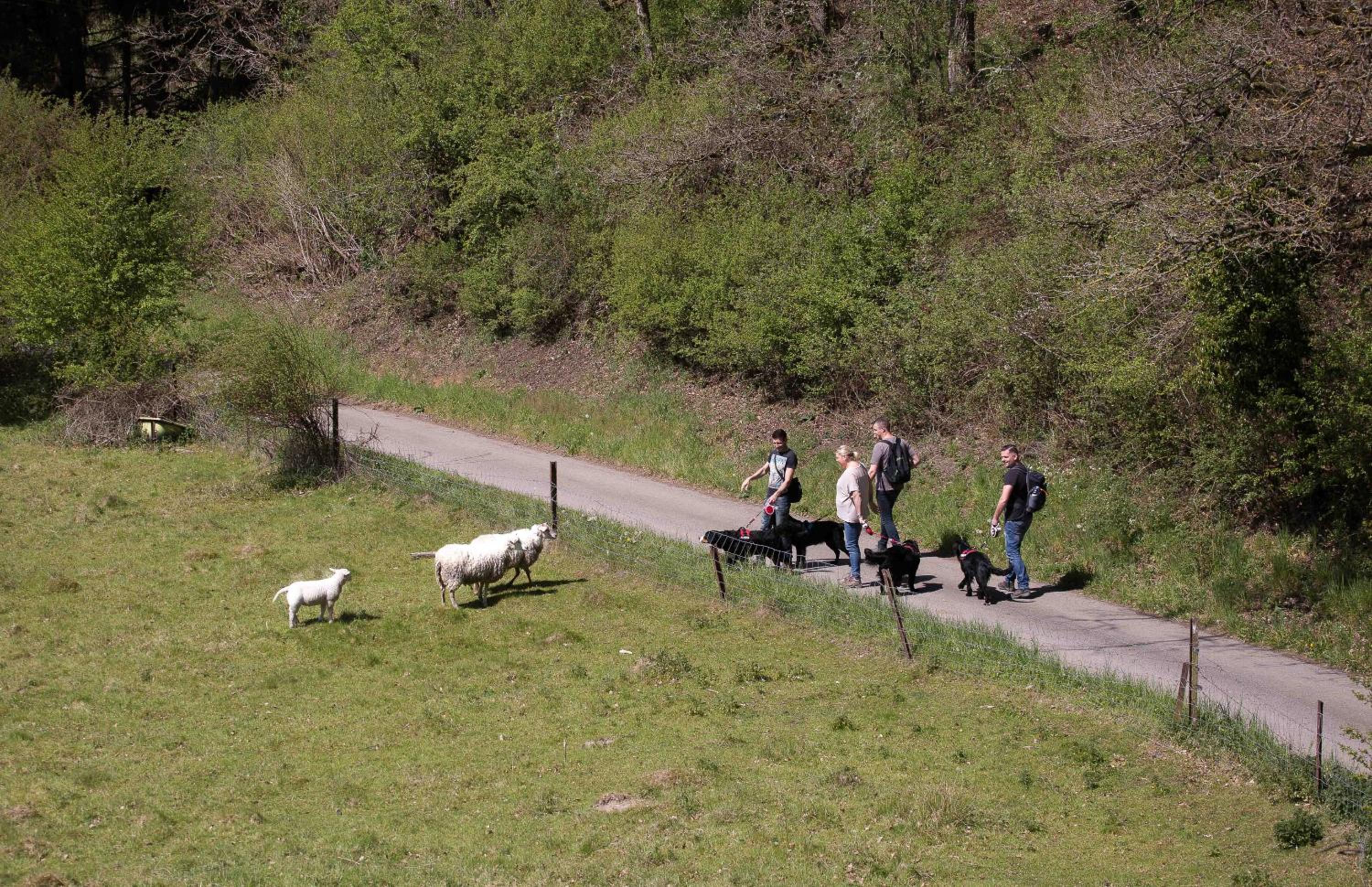 B&B Ferme de Leuze Rustieke Gîtes nabij Durbuy, eigen laadpalen