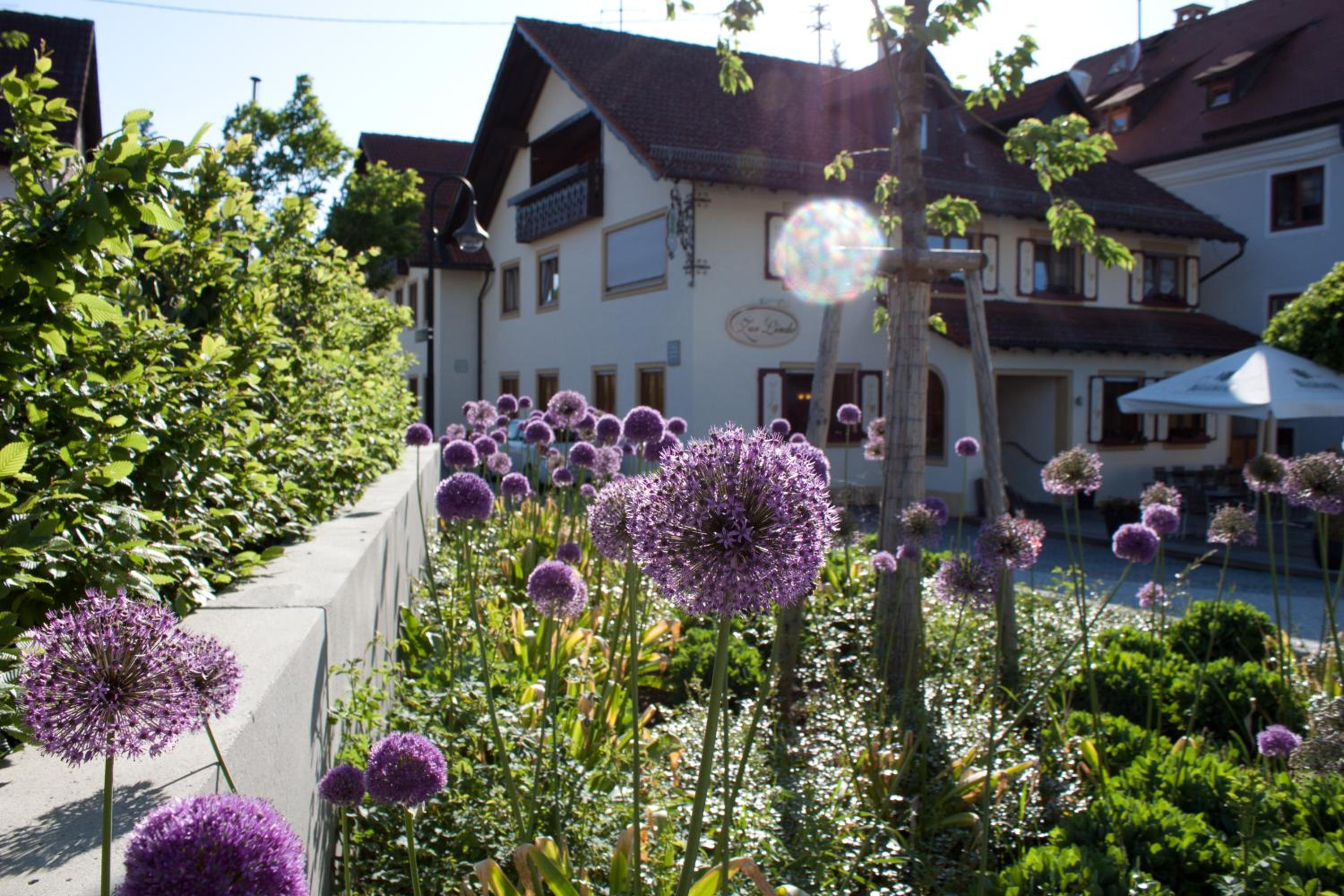 Gasthaus und Pension Zur Linde