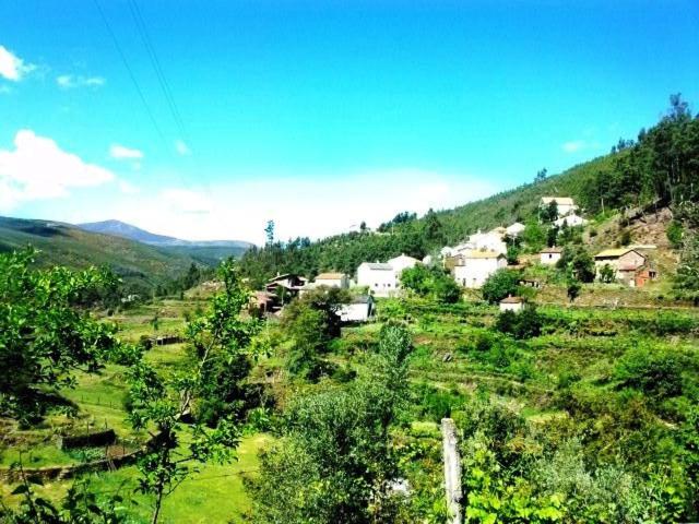 Photo 46