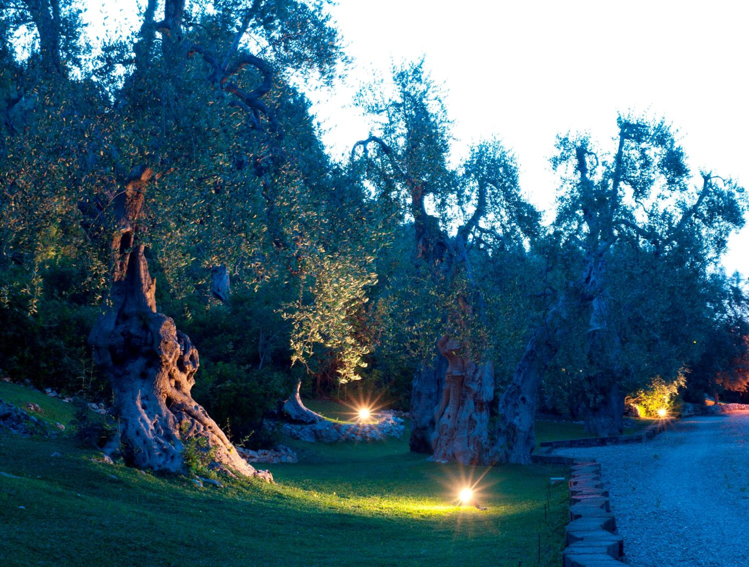 Masseria La Chiusa Delle More