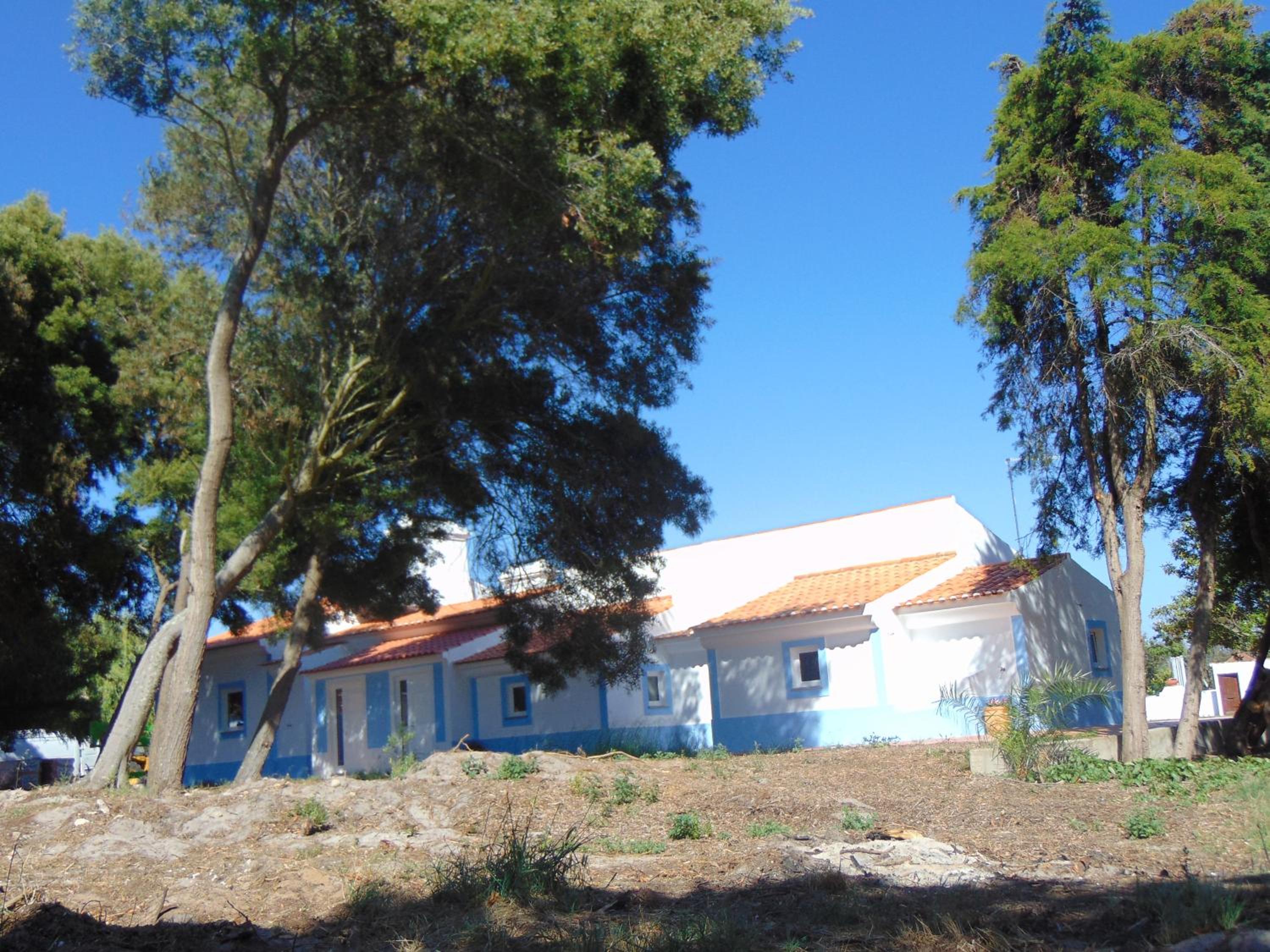 Photo 44