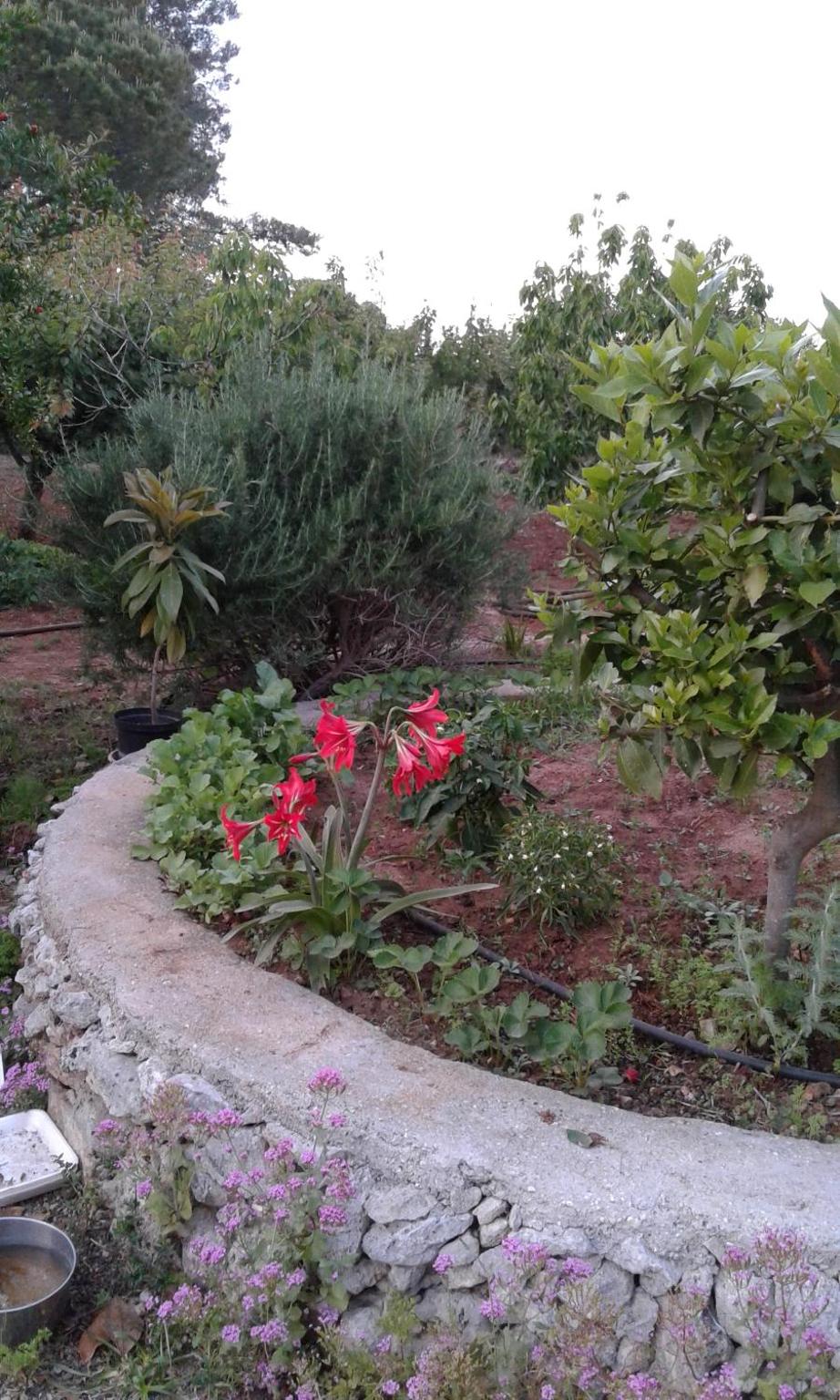 Photo 40