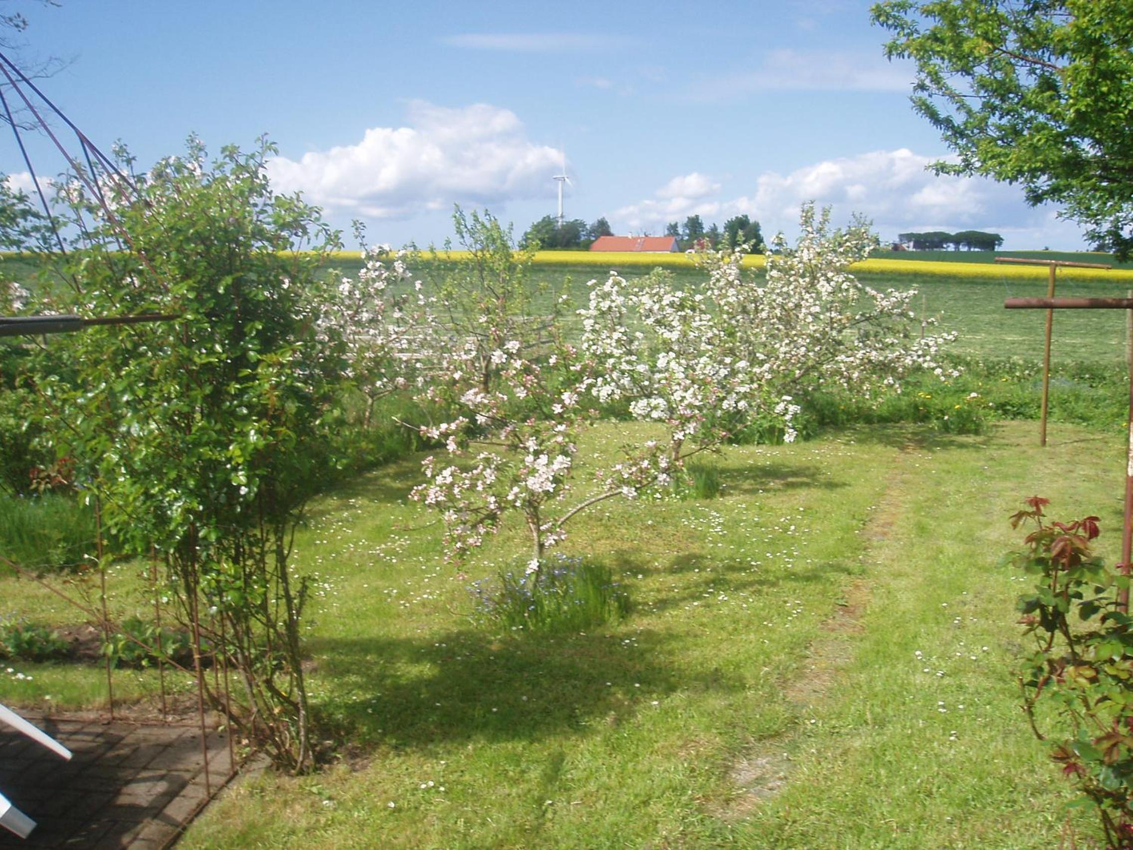 Country house view 4