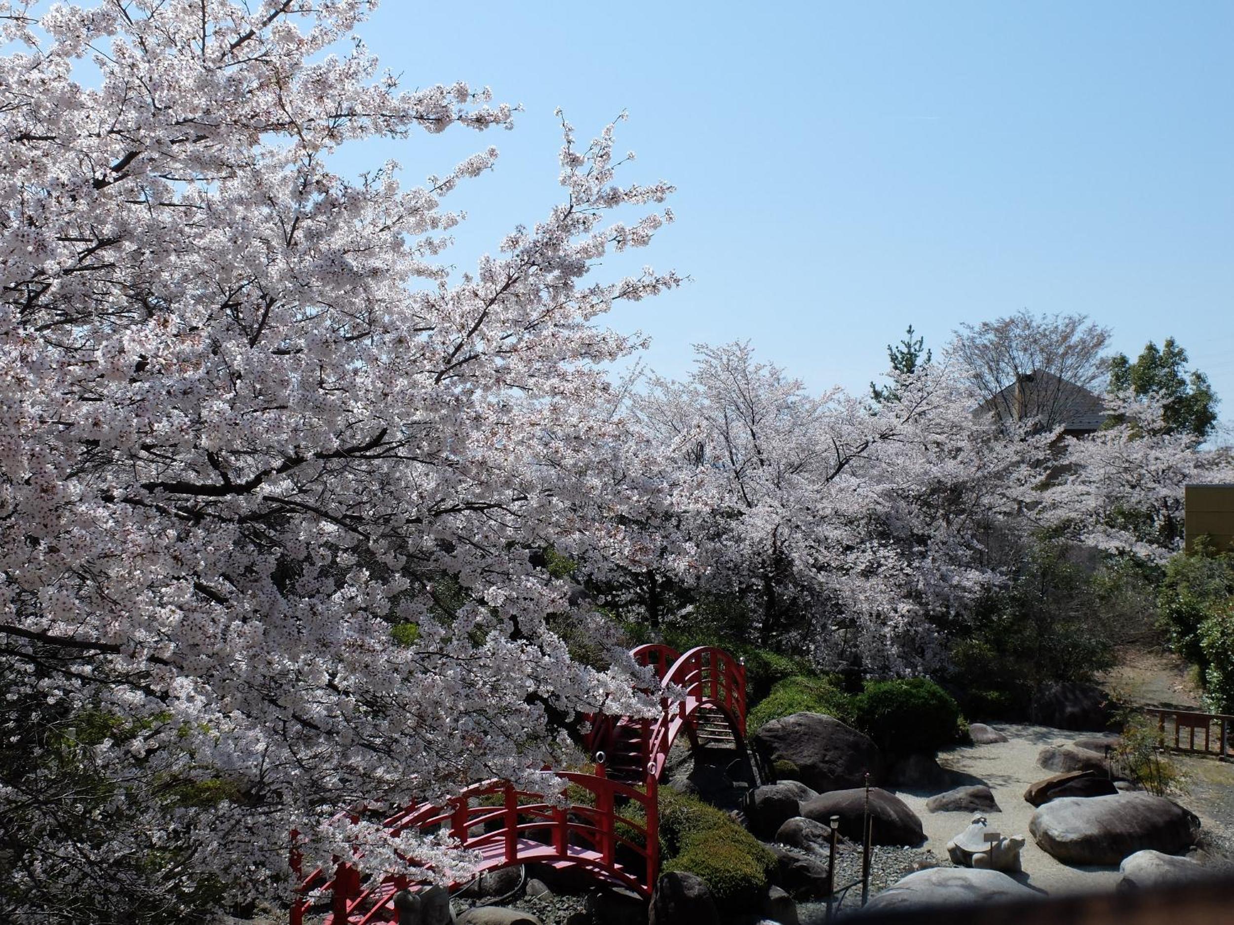 Hotel Kaminoyu Onsen, photo 41