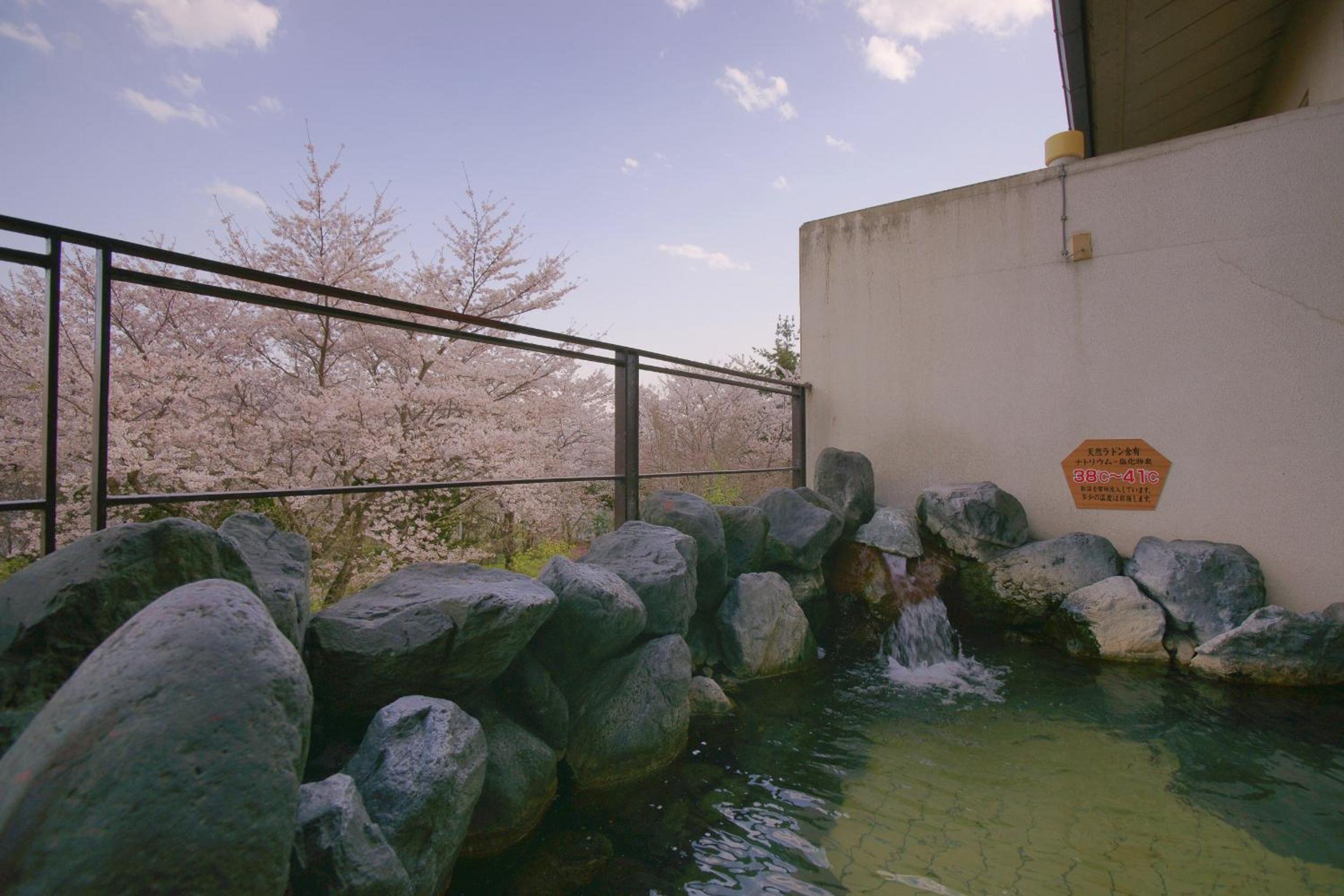 Hotel Kaminoyu Onsen