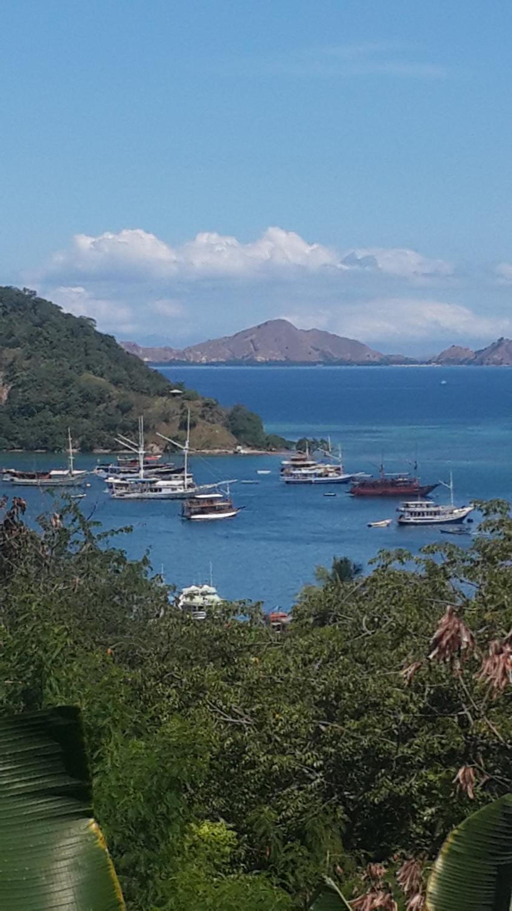 Photo 49