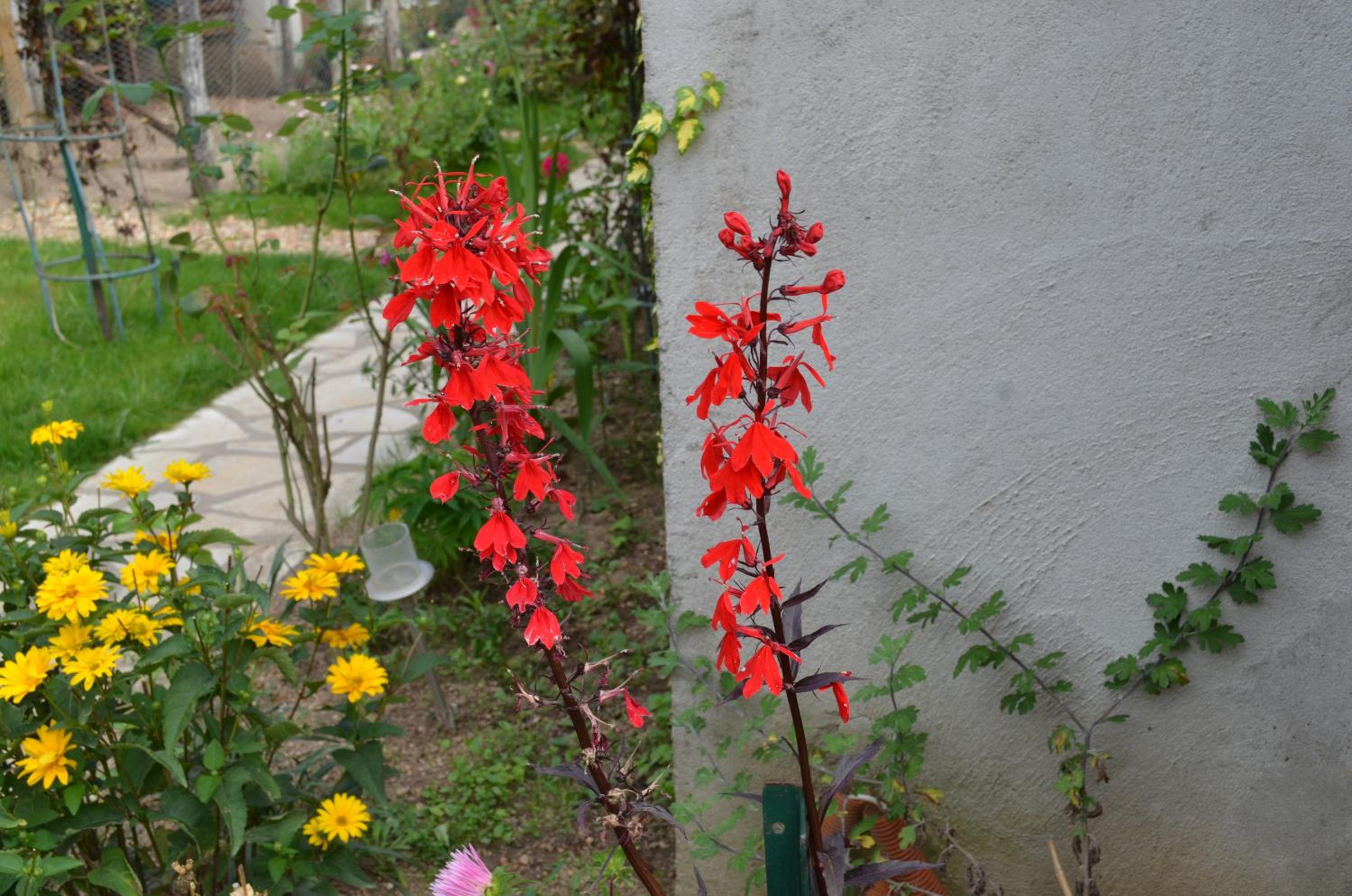 Photo 26