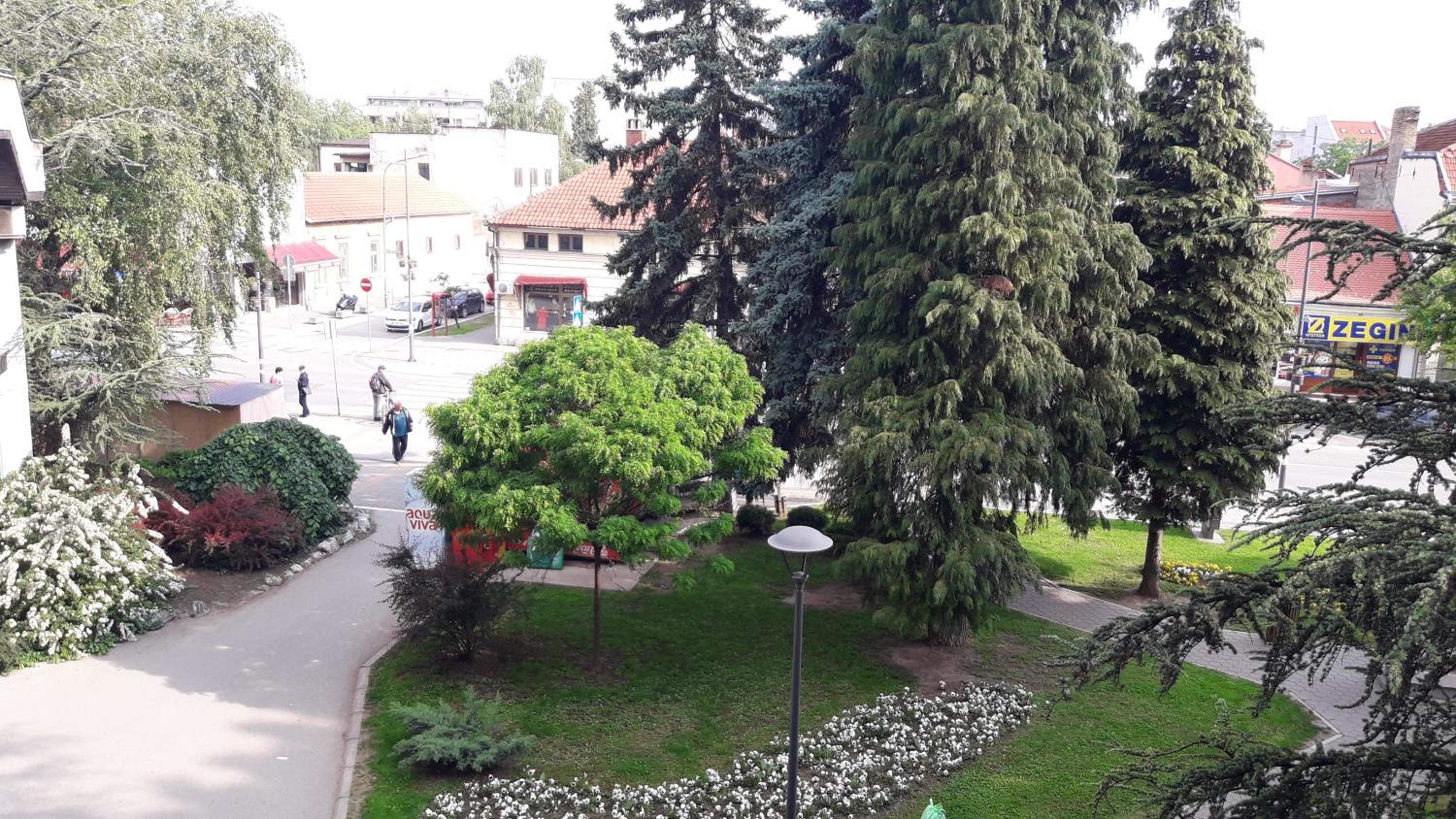 Photo 18