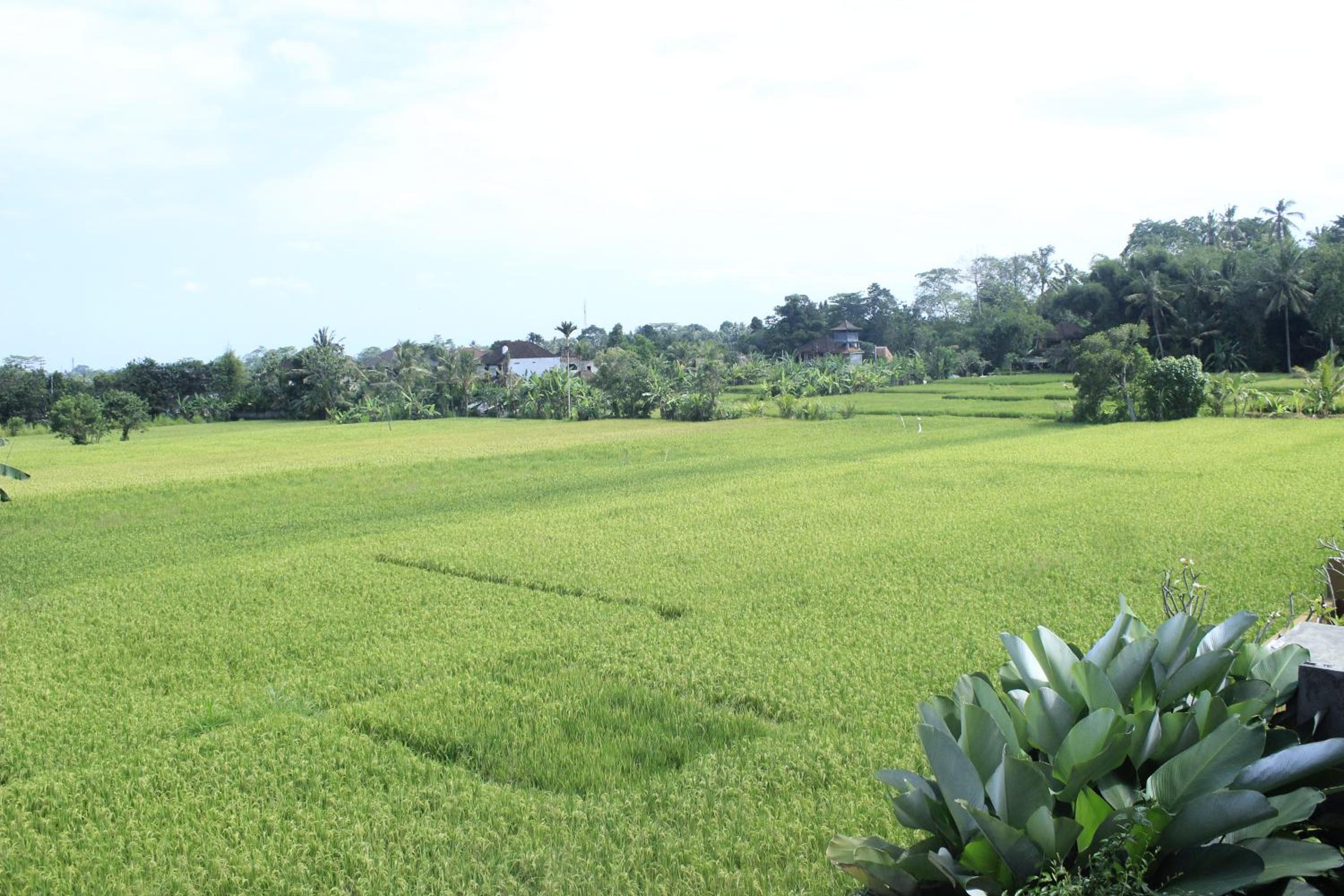 Heaven Villa Ubud