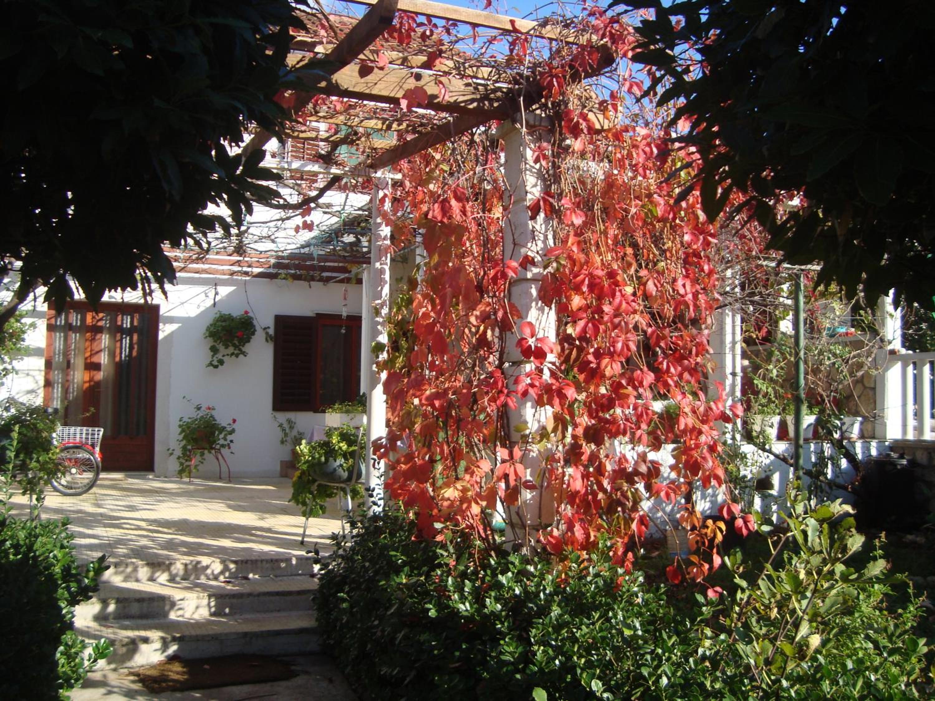 Apartments Lovor