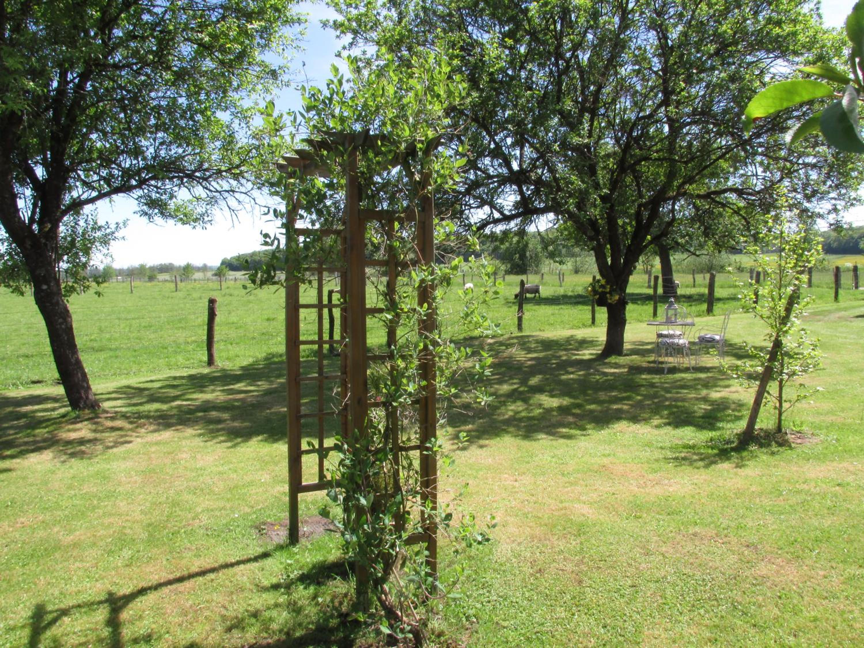 Photo 22