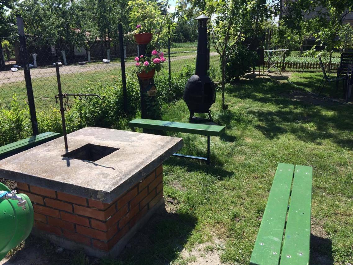 Photo 11
