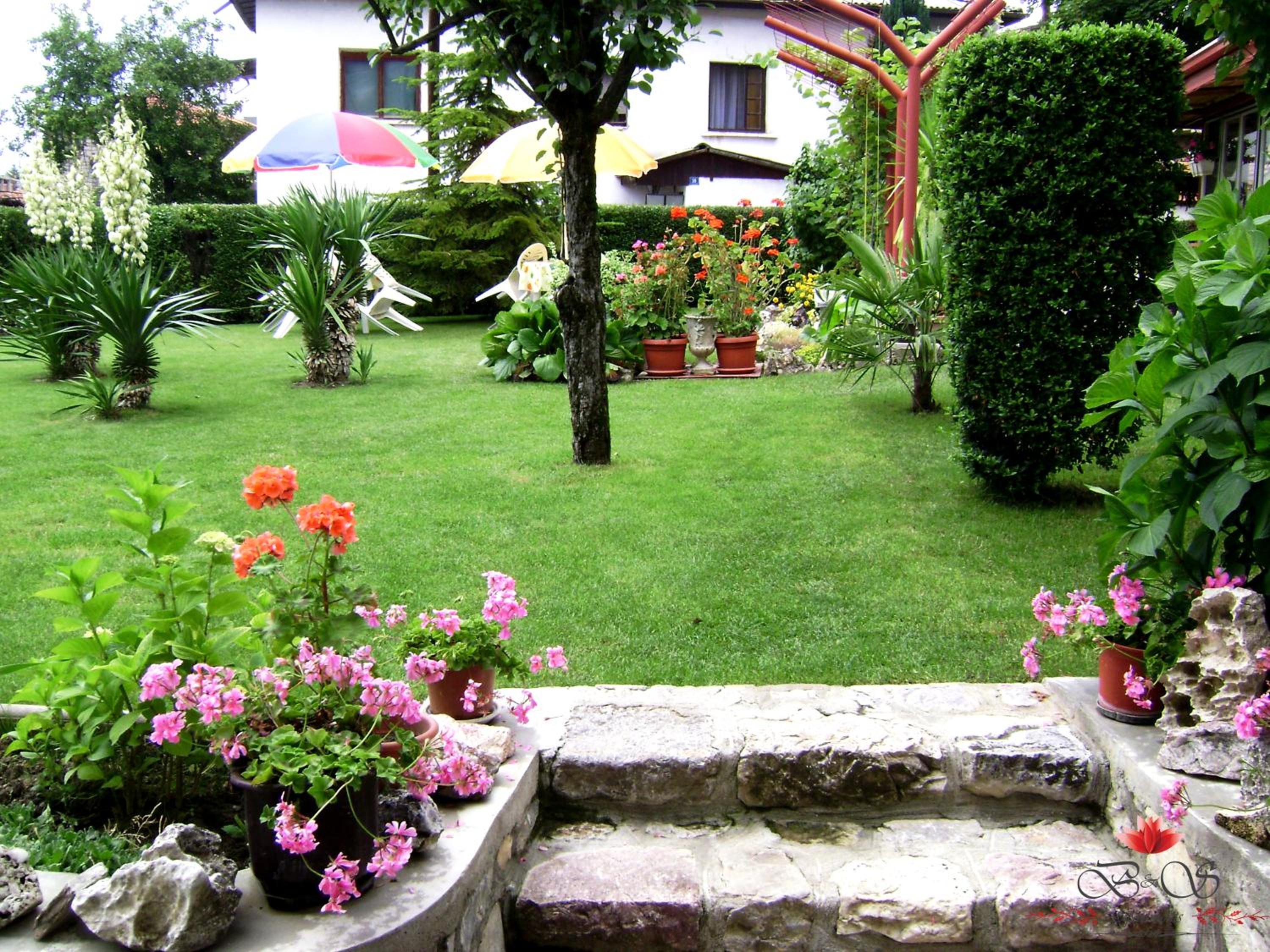 Photo 18