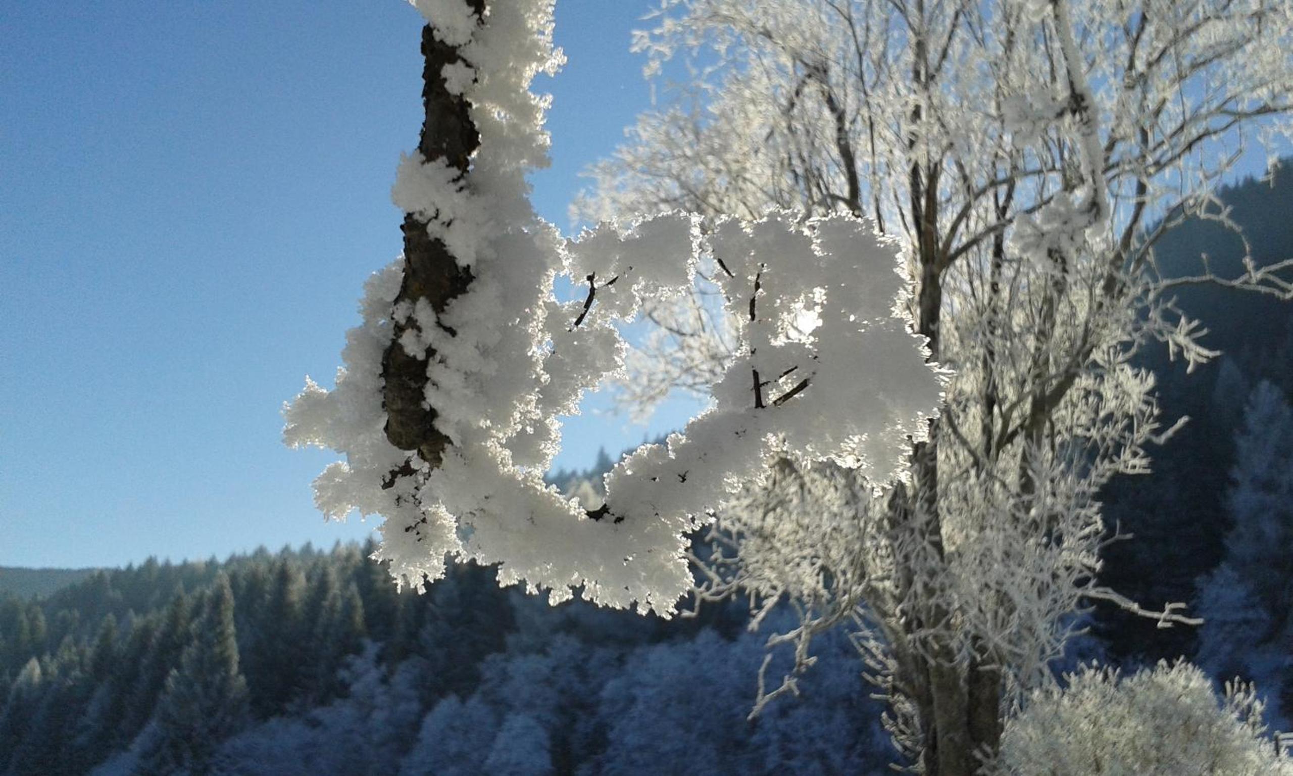 Ferienparadies Wiesenbauer