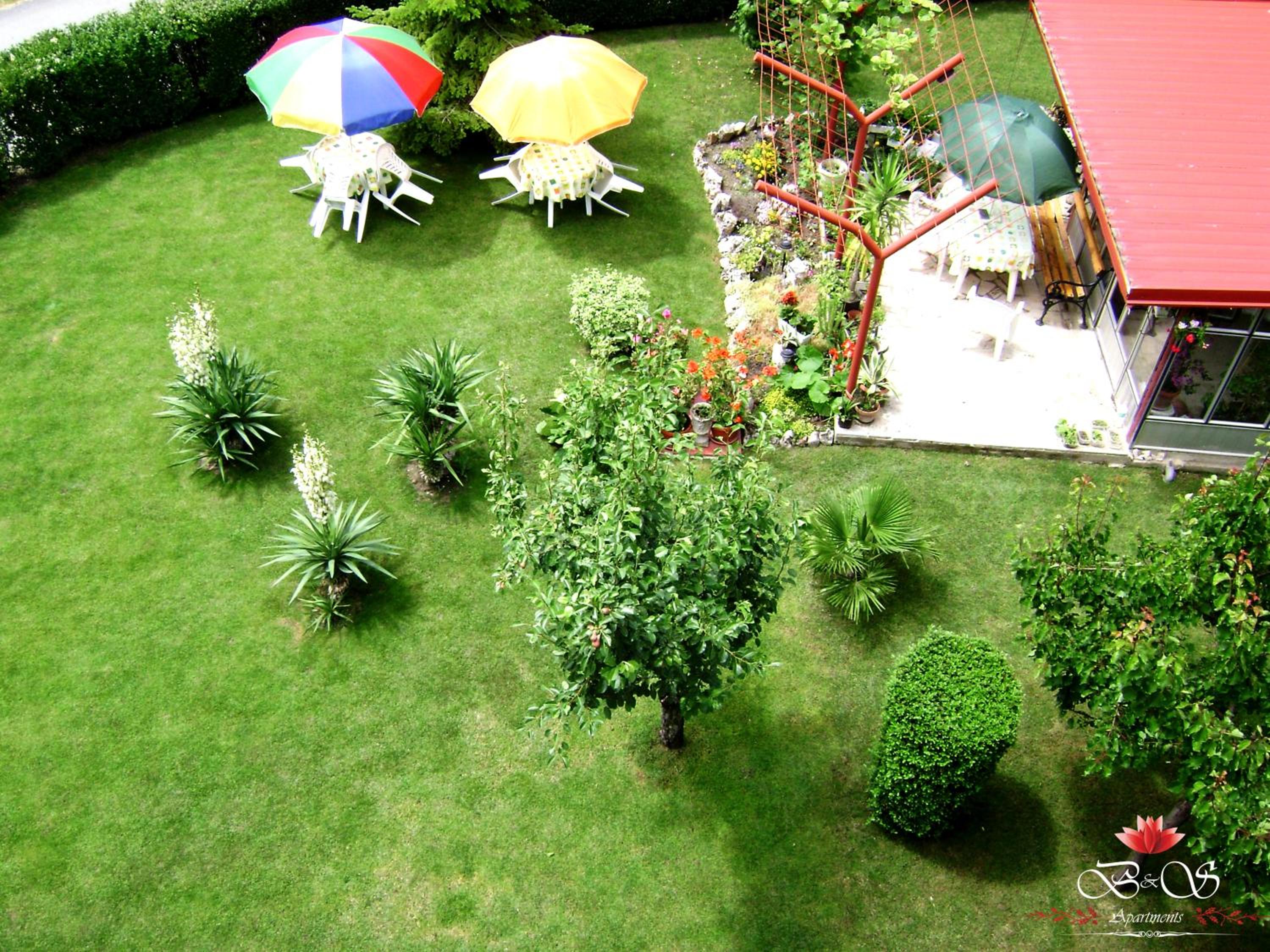 Photo 21
