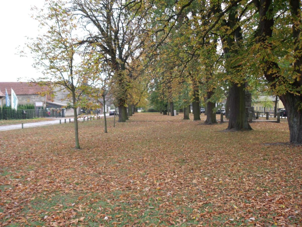 Photo 37