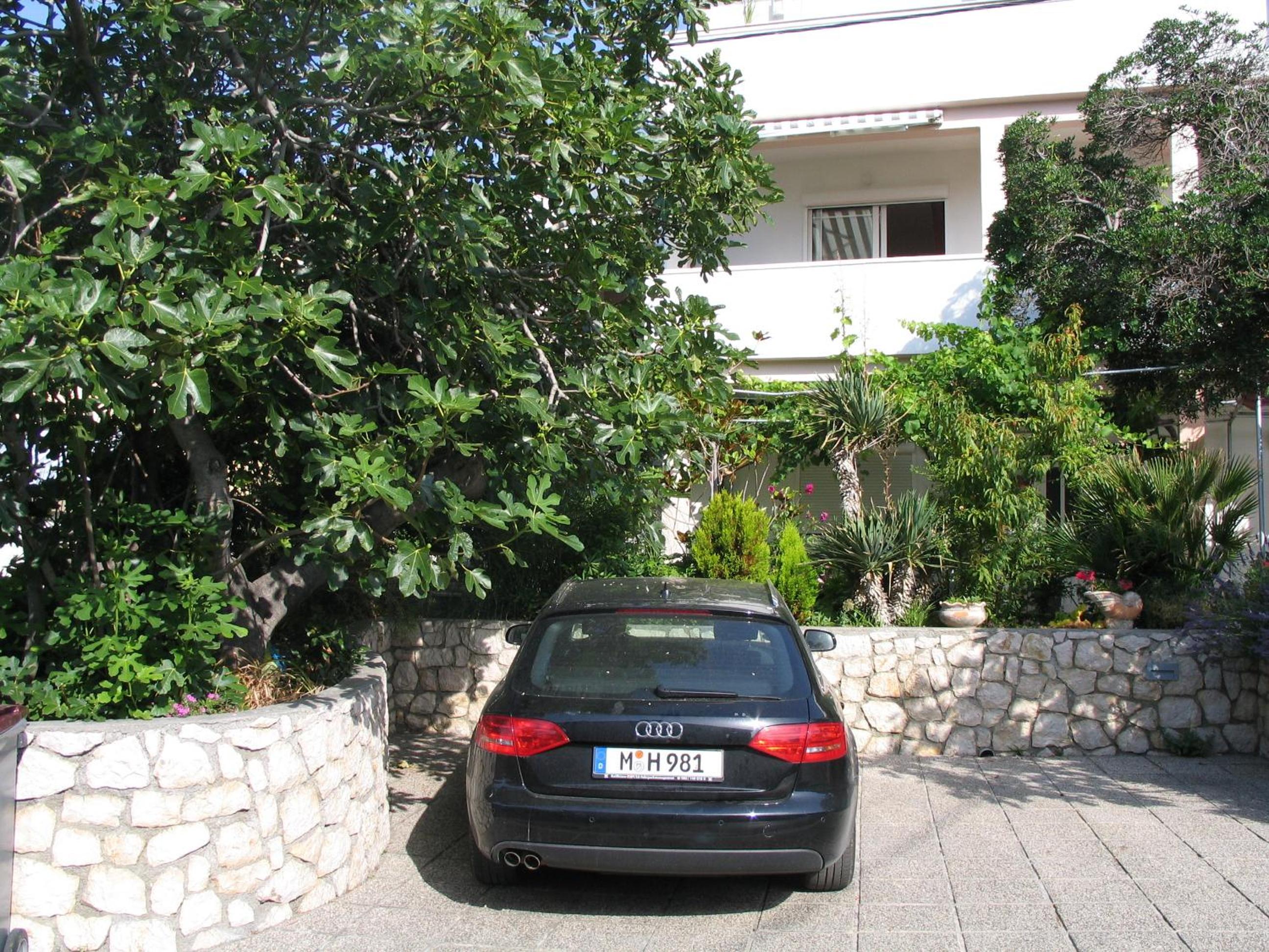 Photo 50