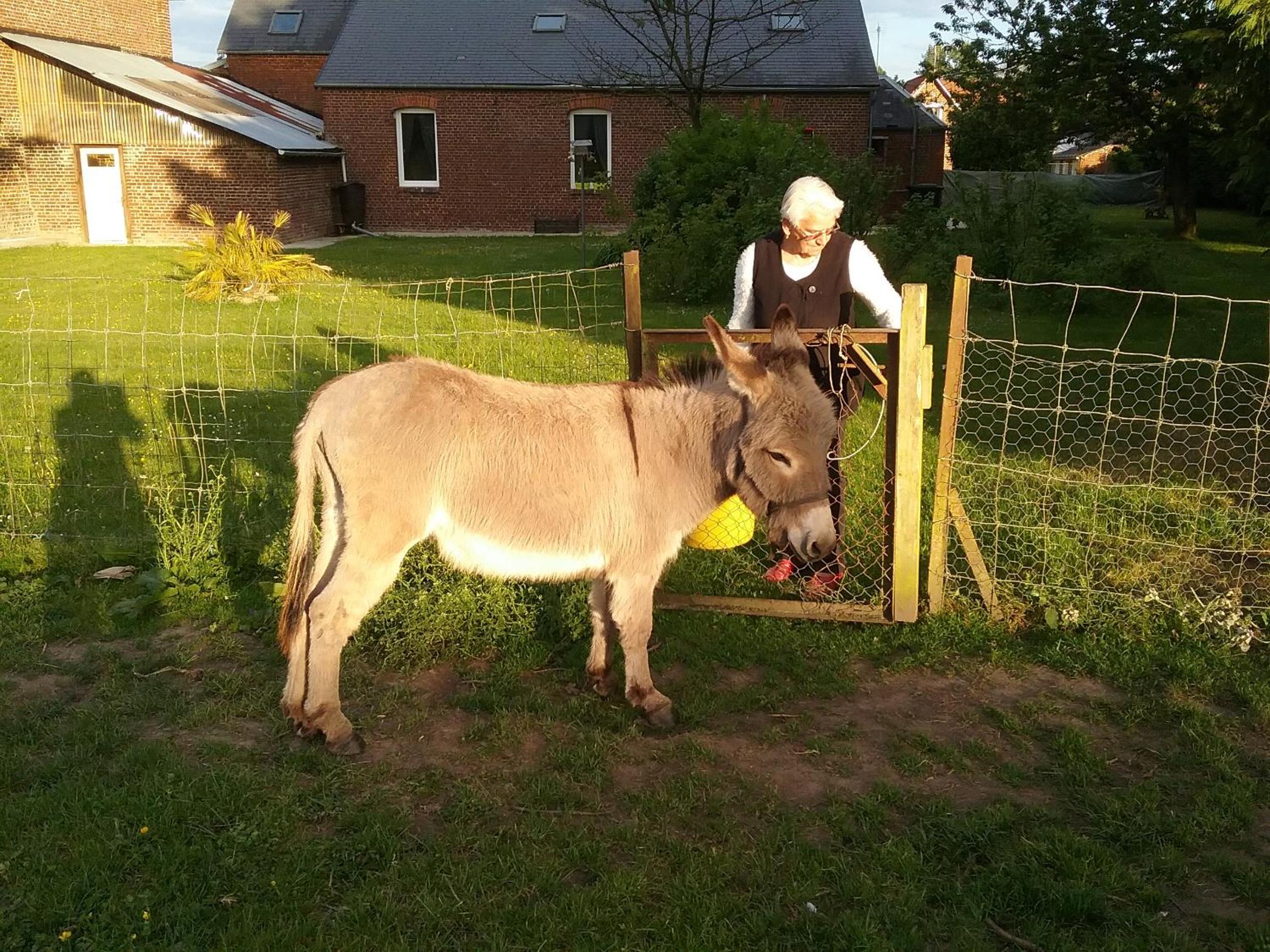 Photo 30