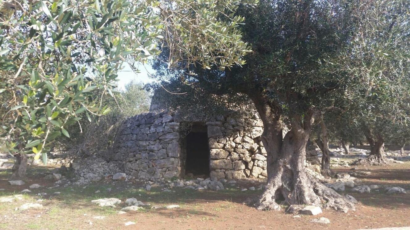 Photo 26