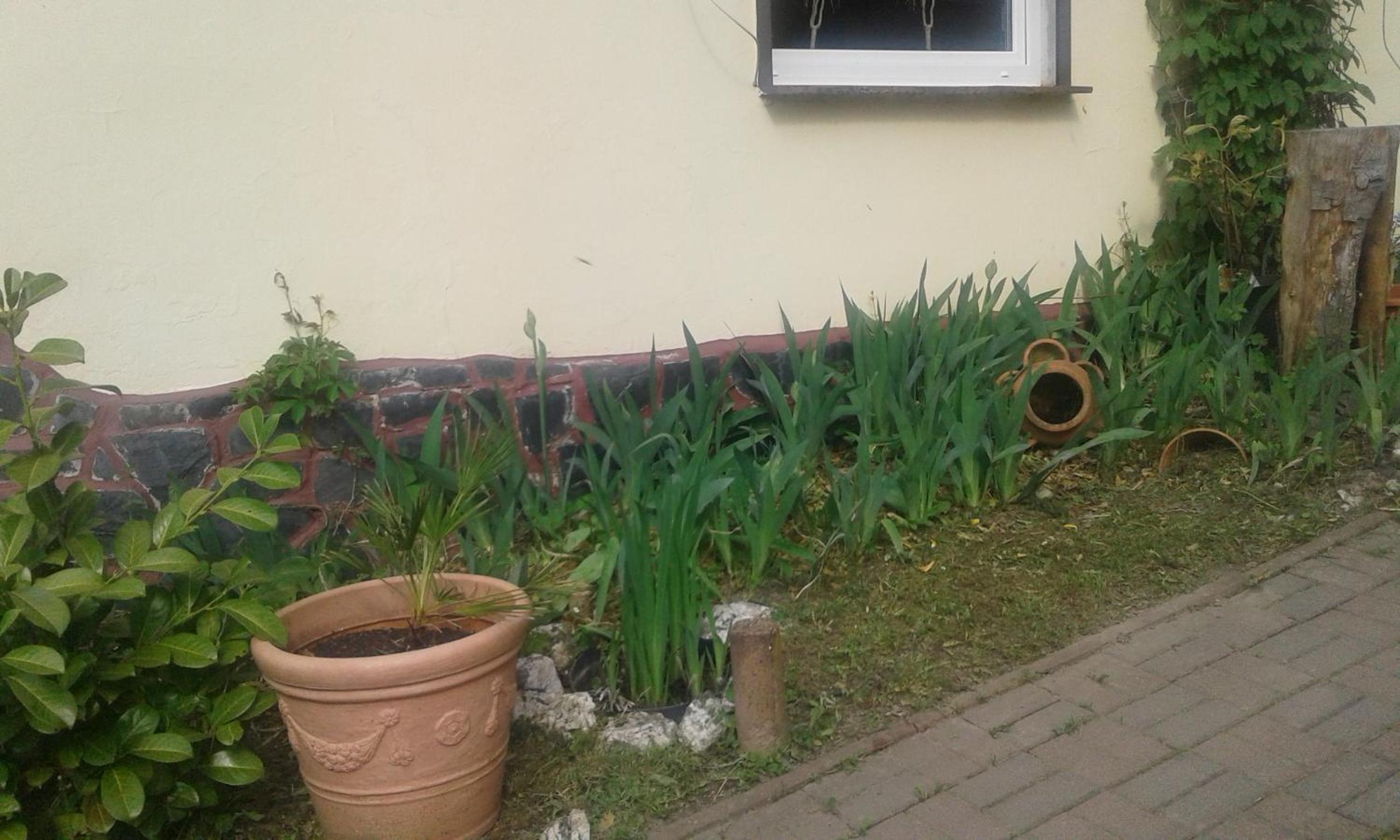 Photo 48
