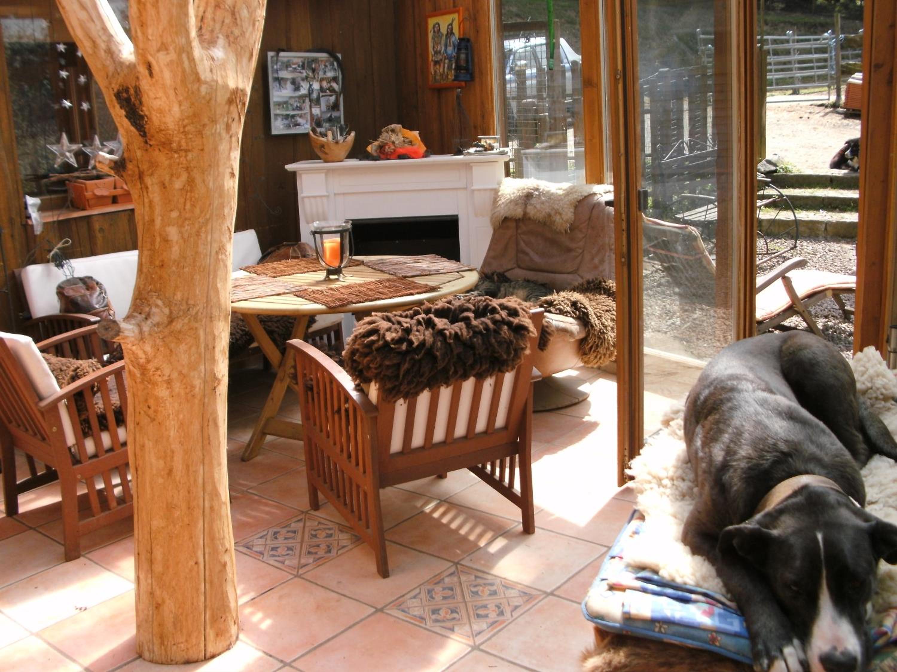 Photo 7