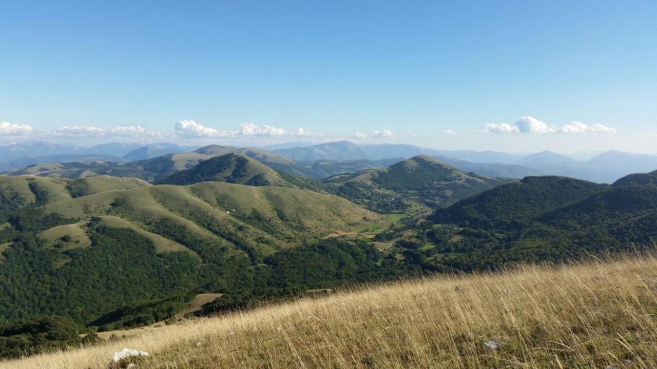 Agriturismo Pettino