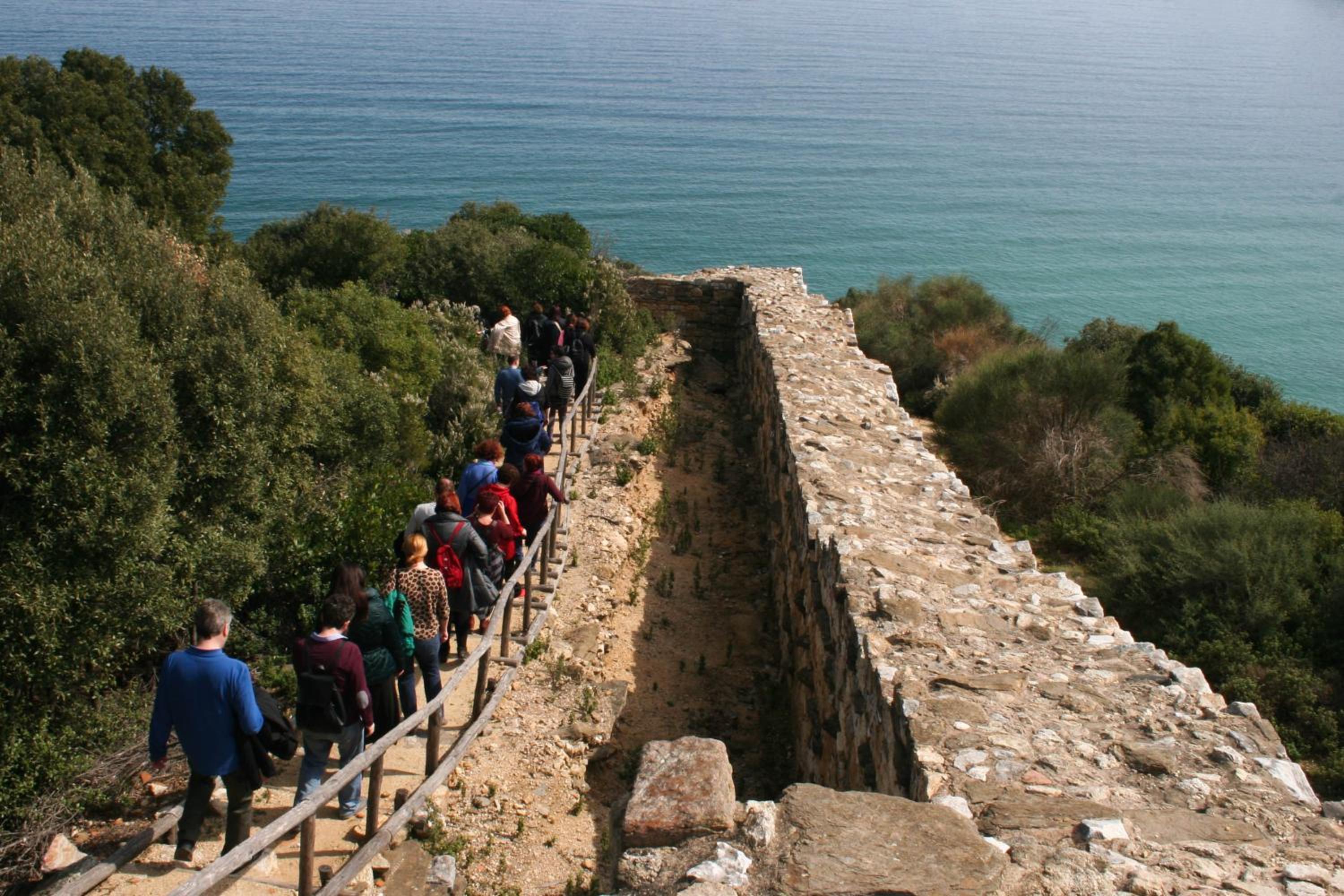 Photo 41