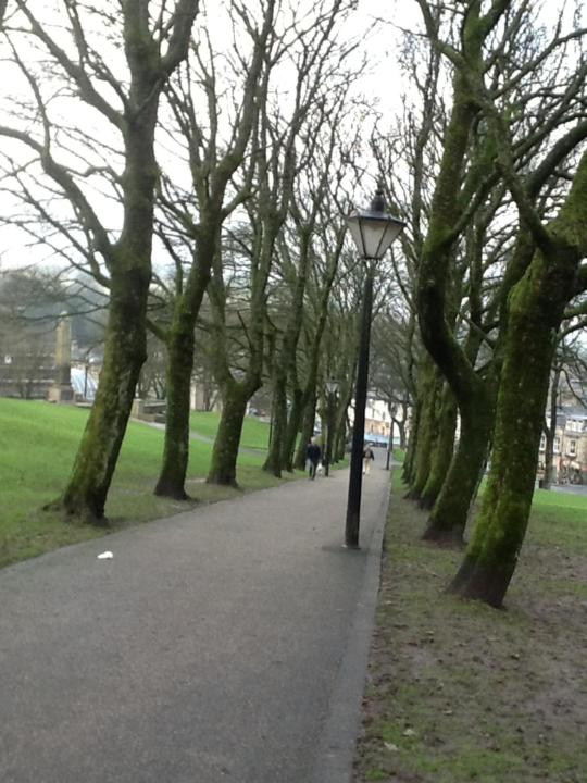 Photo 12