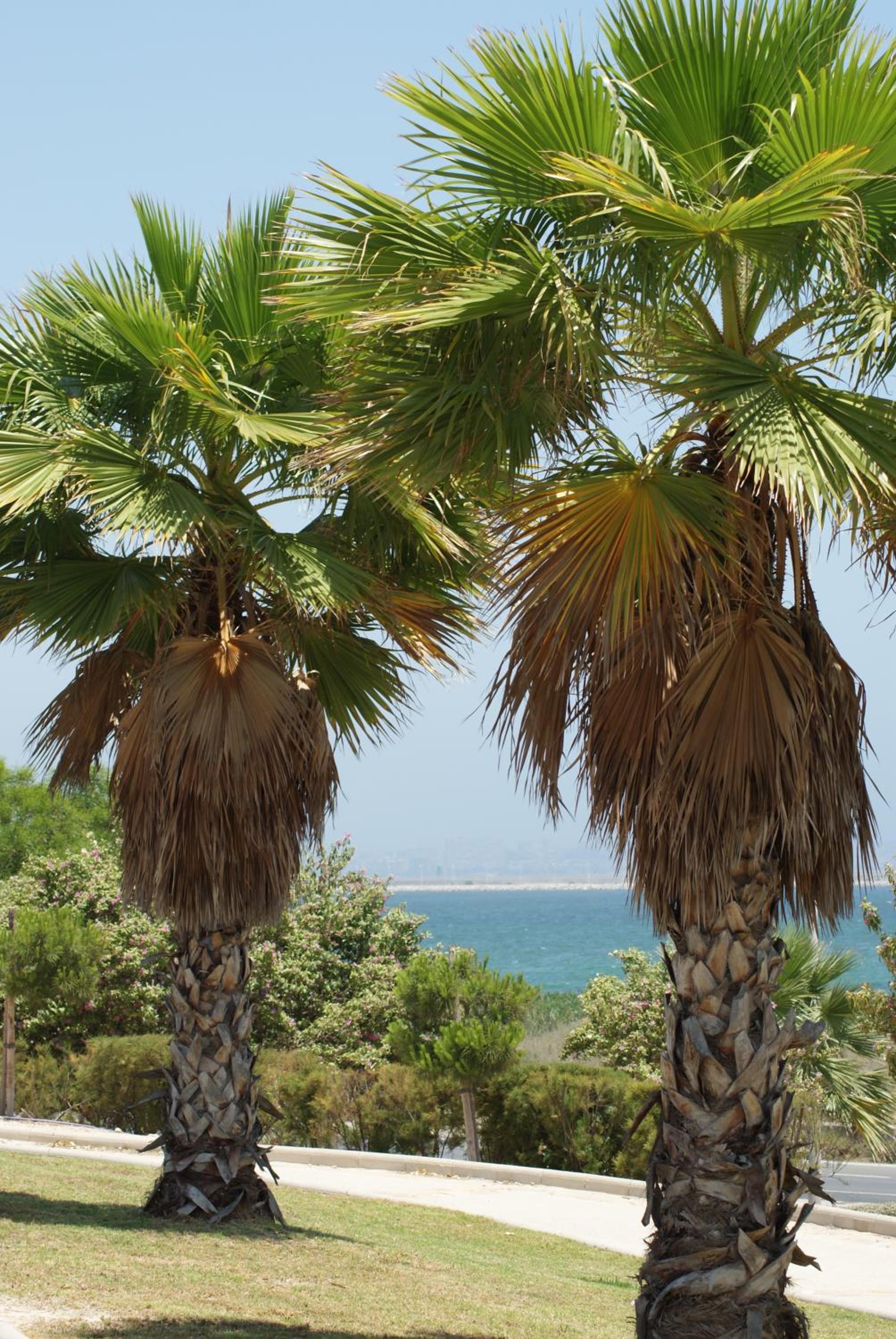 Ibis Budget Alicante