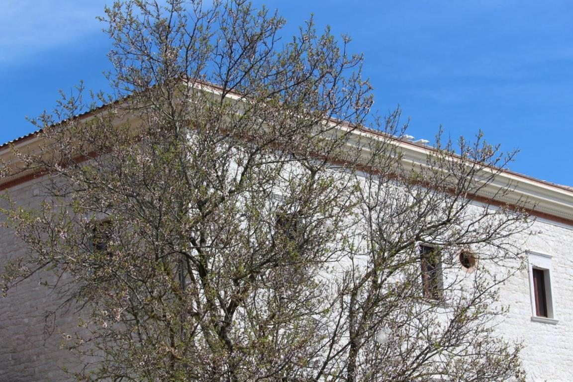 Photo 46